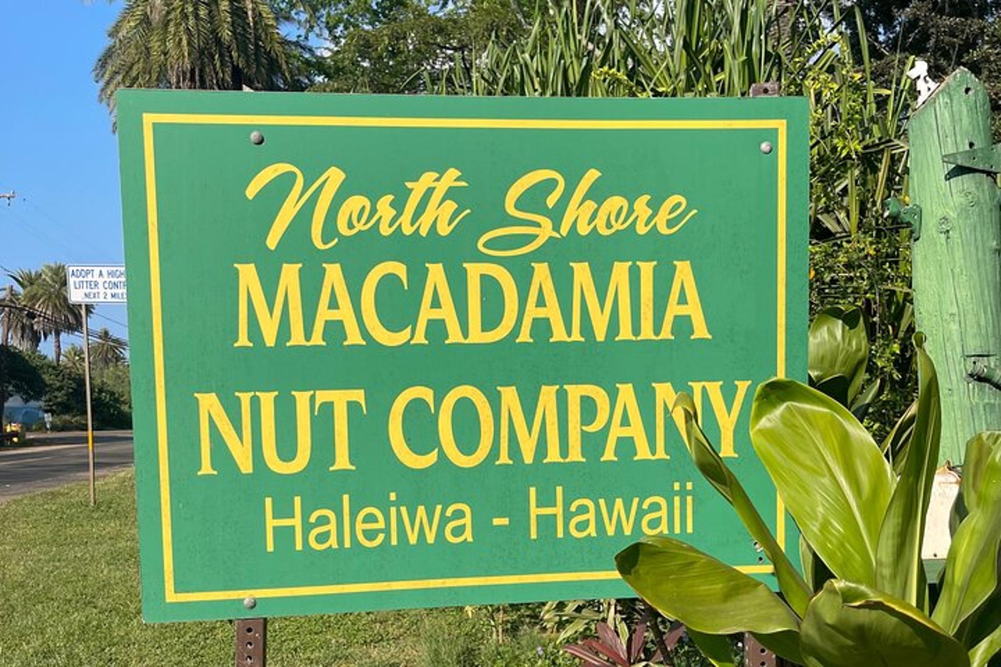 Oahu Circle Island Tour North Shore and East Side - Image 6