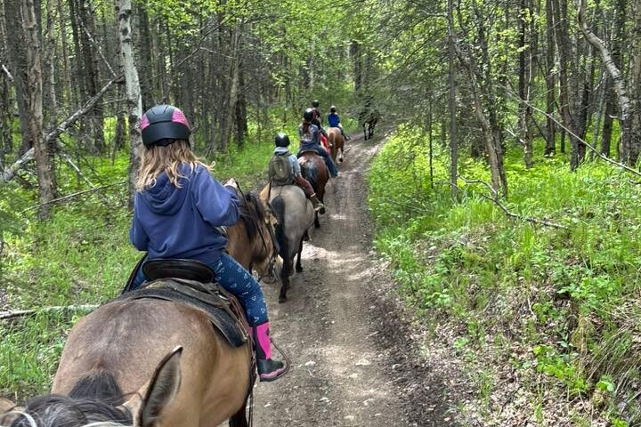 Anchorage Trail Ride and Homestead Tour - Image 3