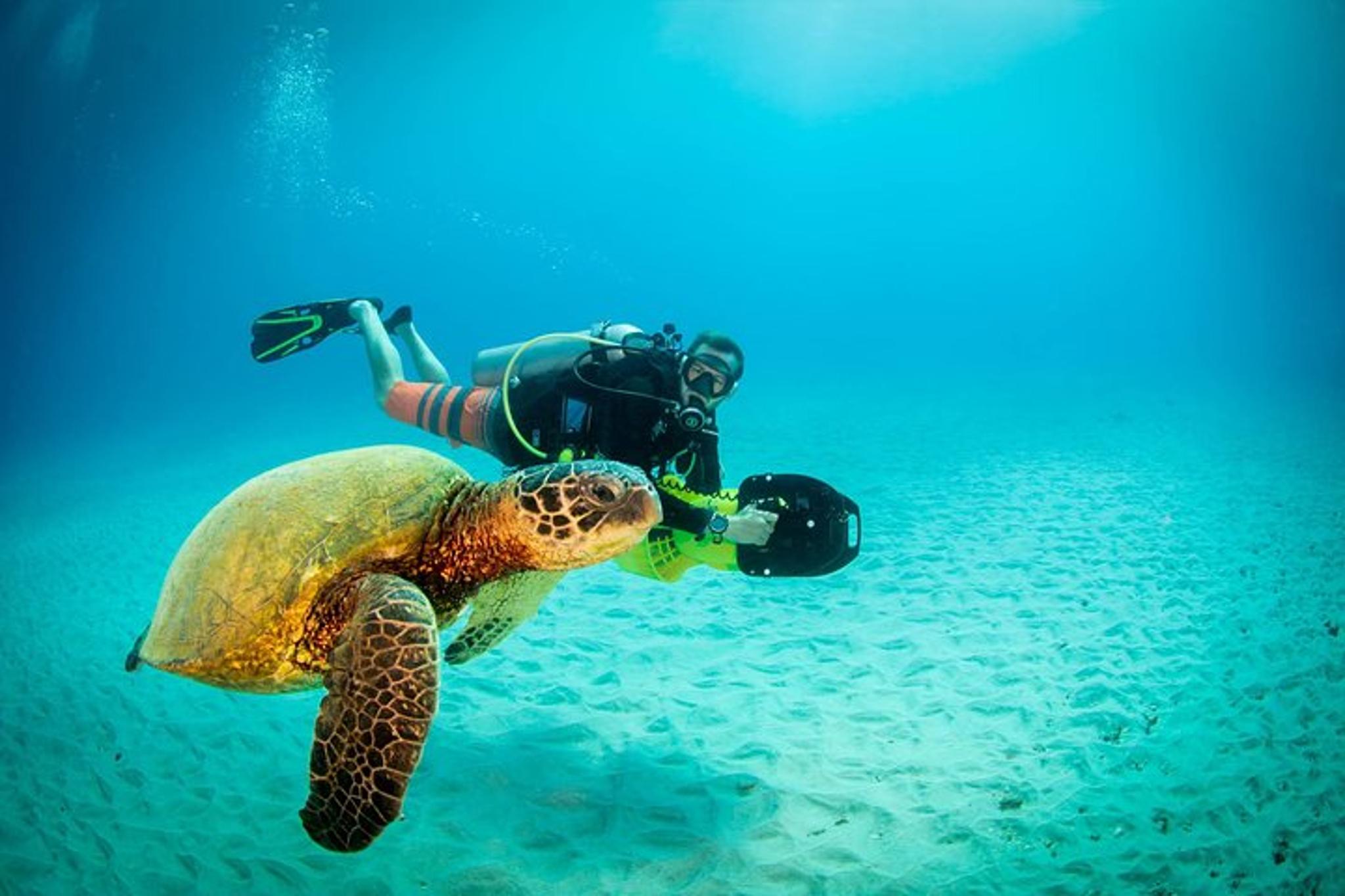 Kauai Scooter Adventure 2 Tank Dive - Image 2
