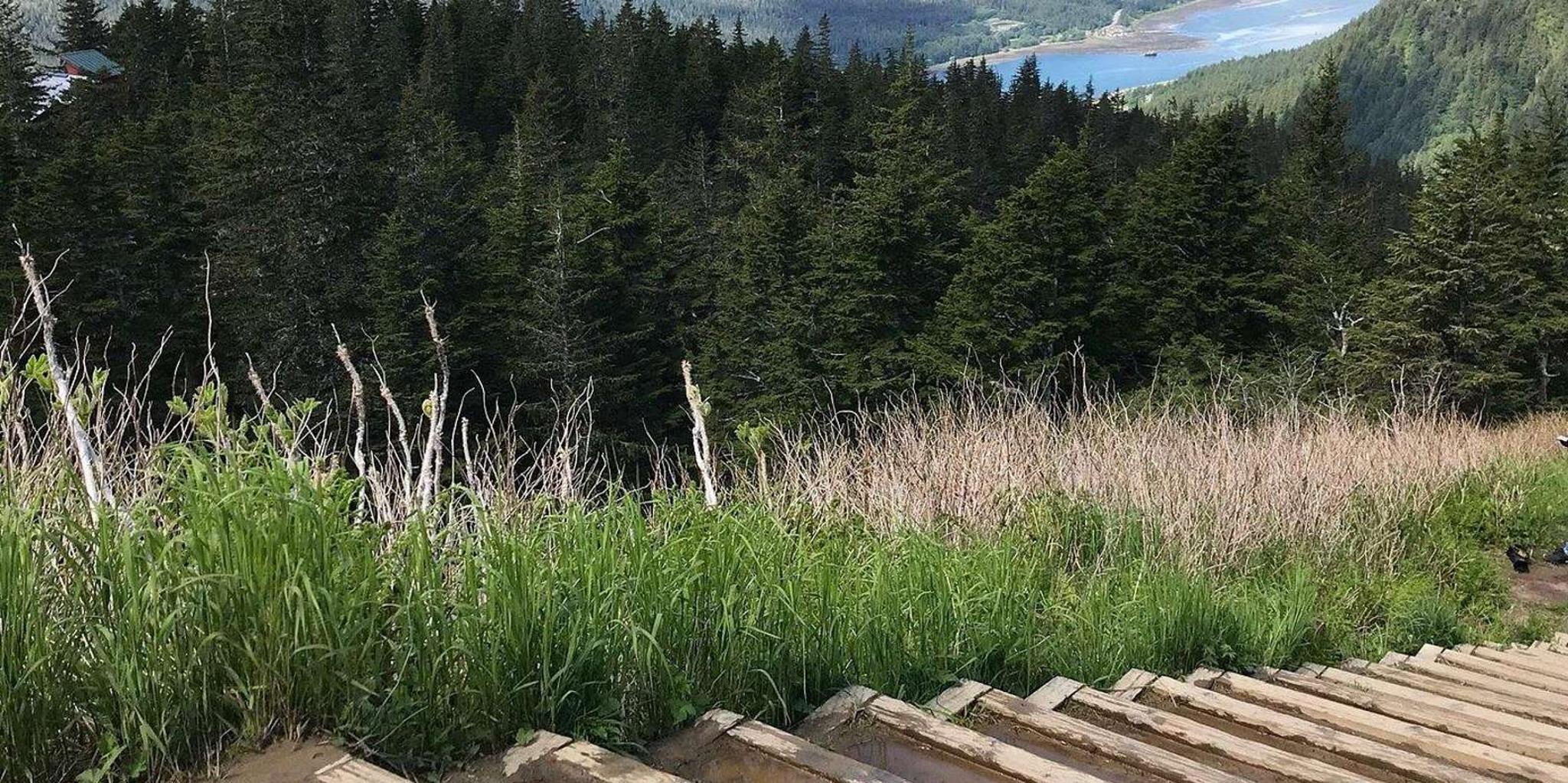 Juneau Alaska Native Tour with Tram Ride - Image 2