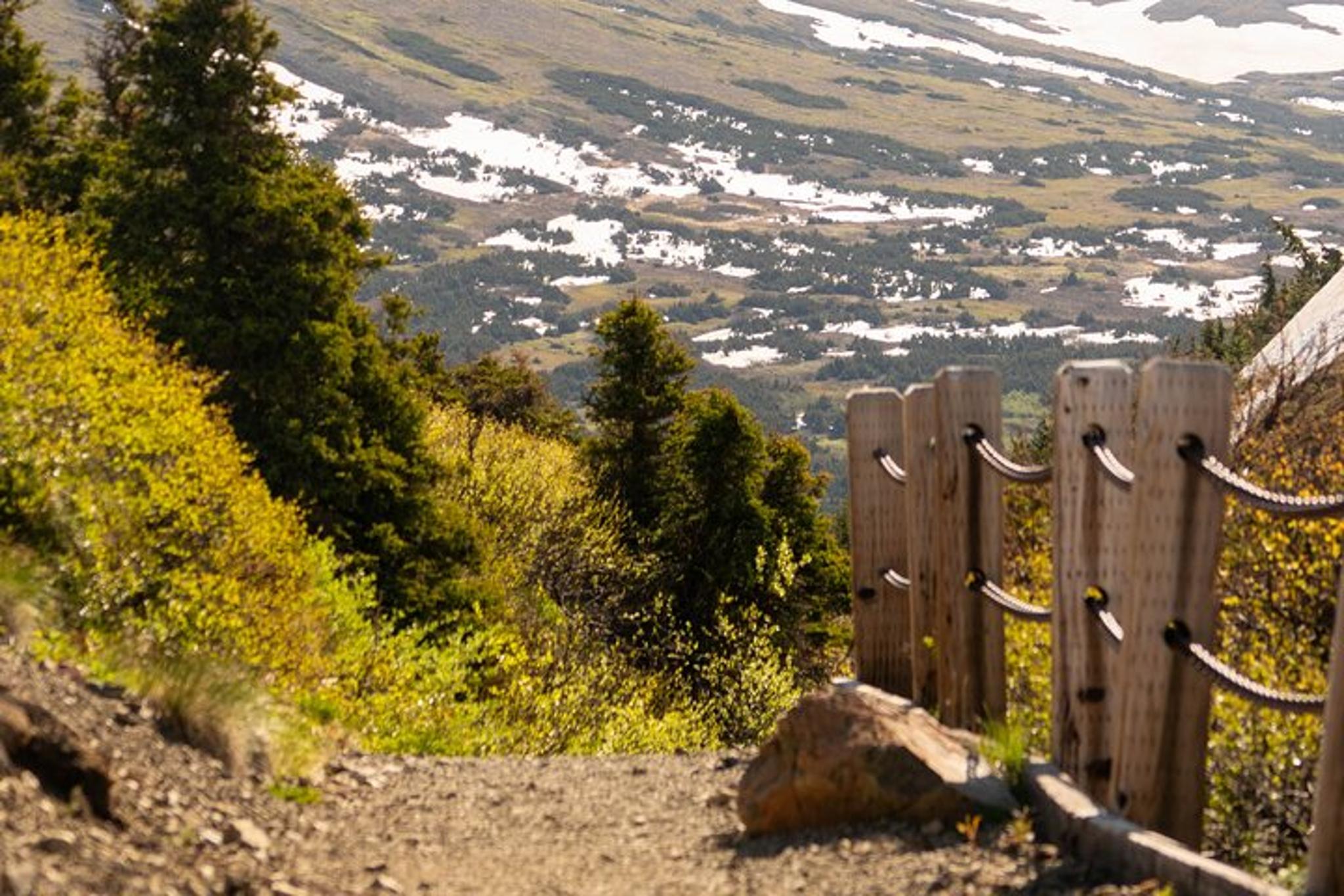 Anchorage Flattop Mountain Guided Hike with Pickup - Image 6