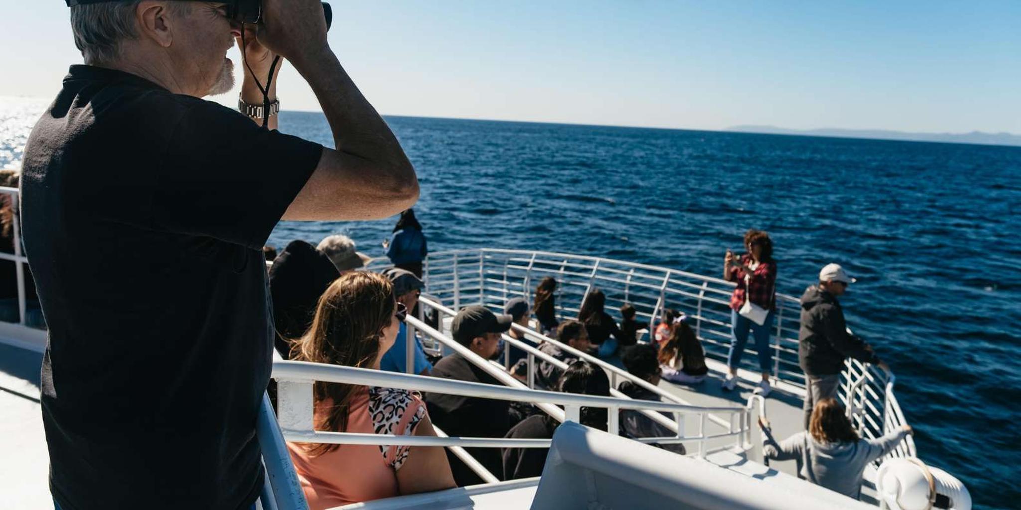 Long Beach Whale Watching Cruise - Image 4