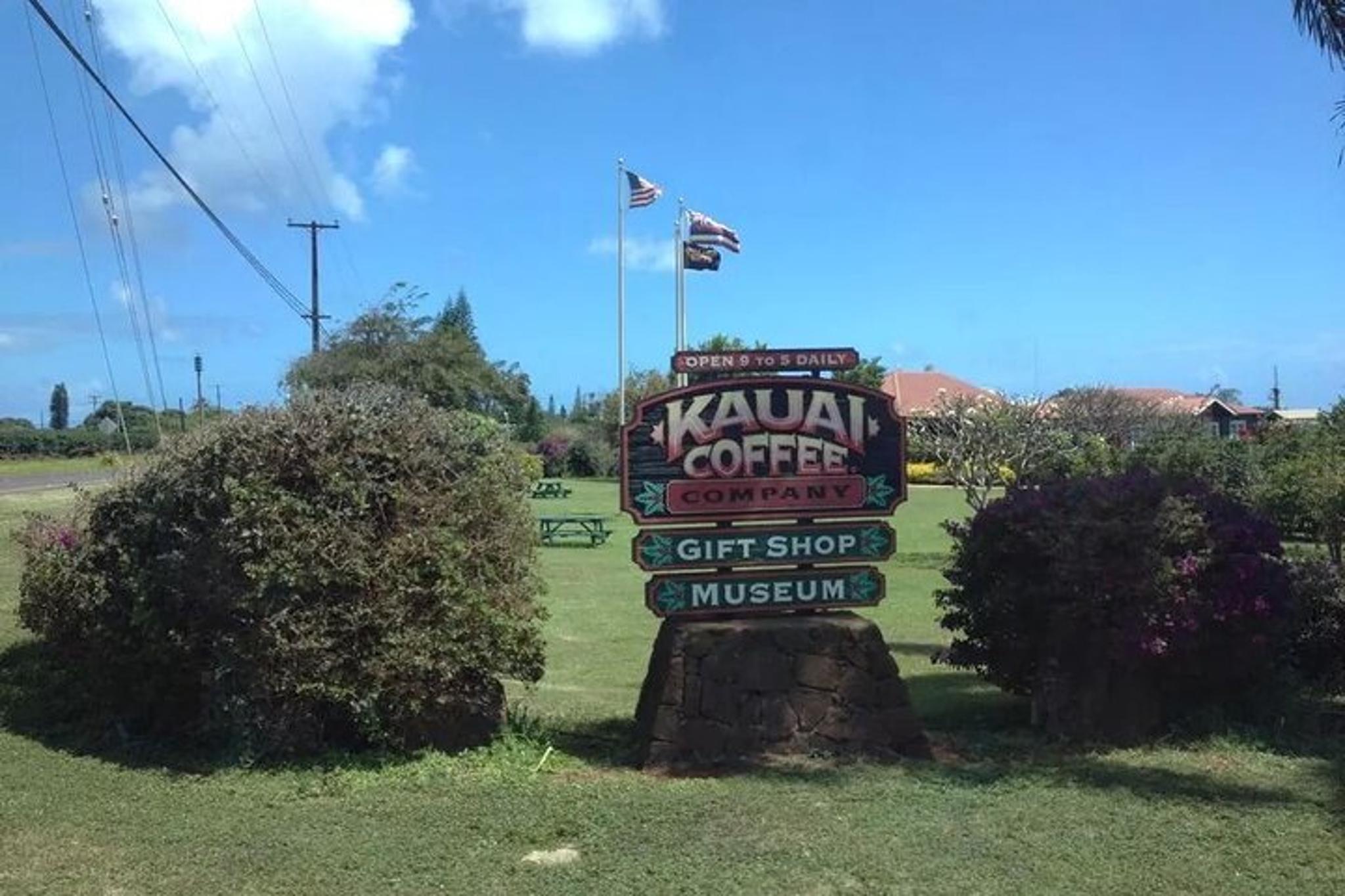 Kauai Waimea Canyon Adventure Tour - Image 5