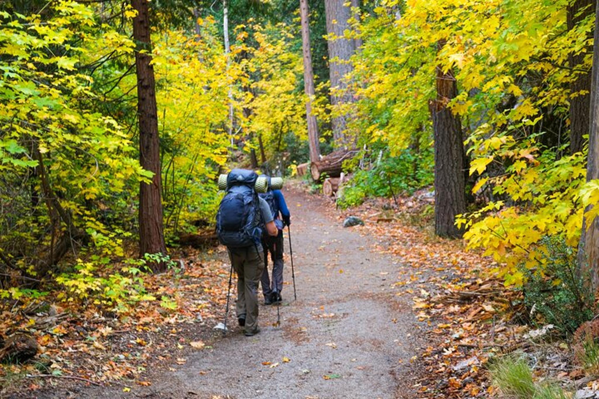 Olympic National Park Backpacking Adventure - Image 5