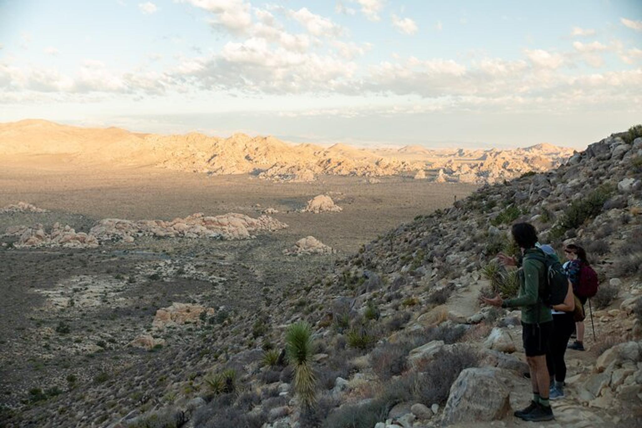 Joshua Tree Sunrise Private Tour & Hike - Image 2