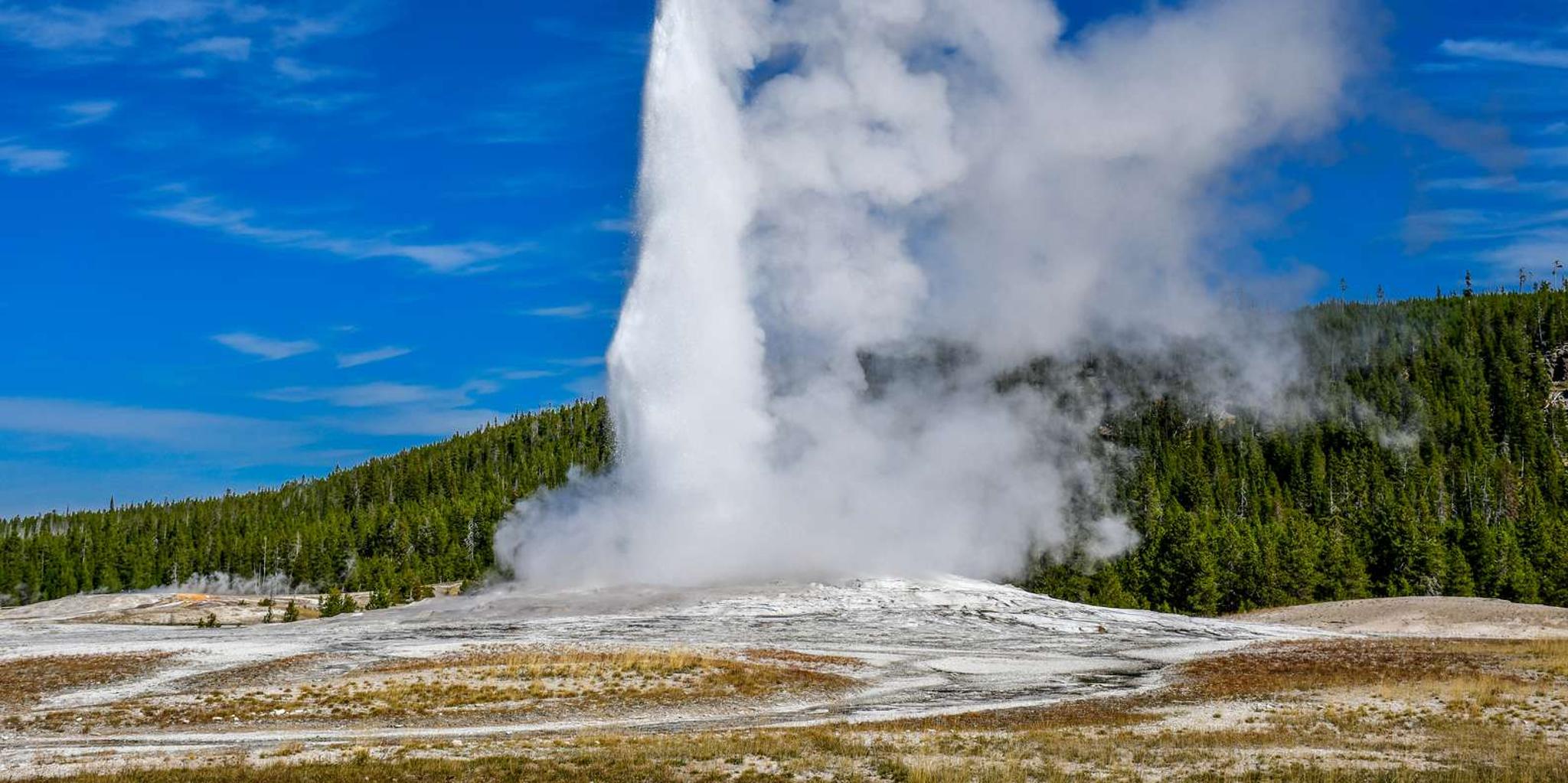 Yellowstone National Park Private Day Tour - Image 4