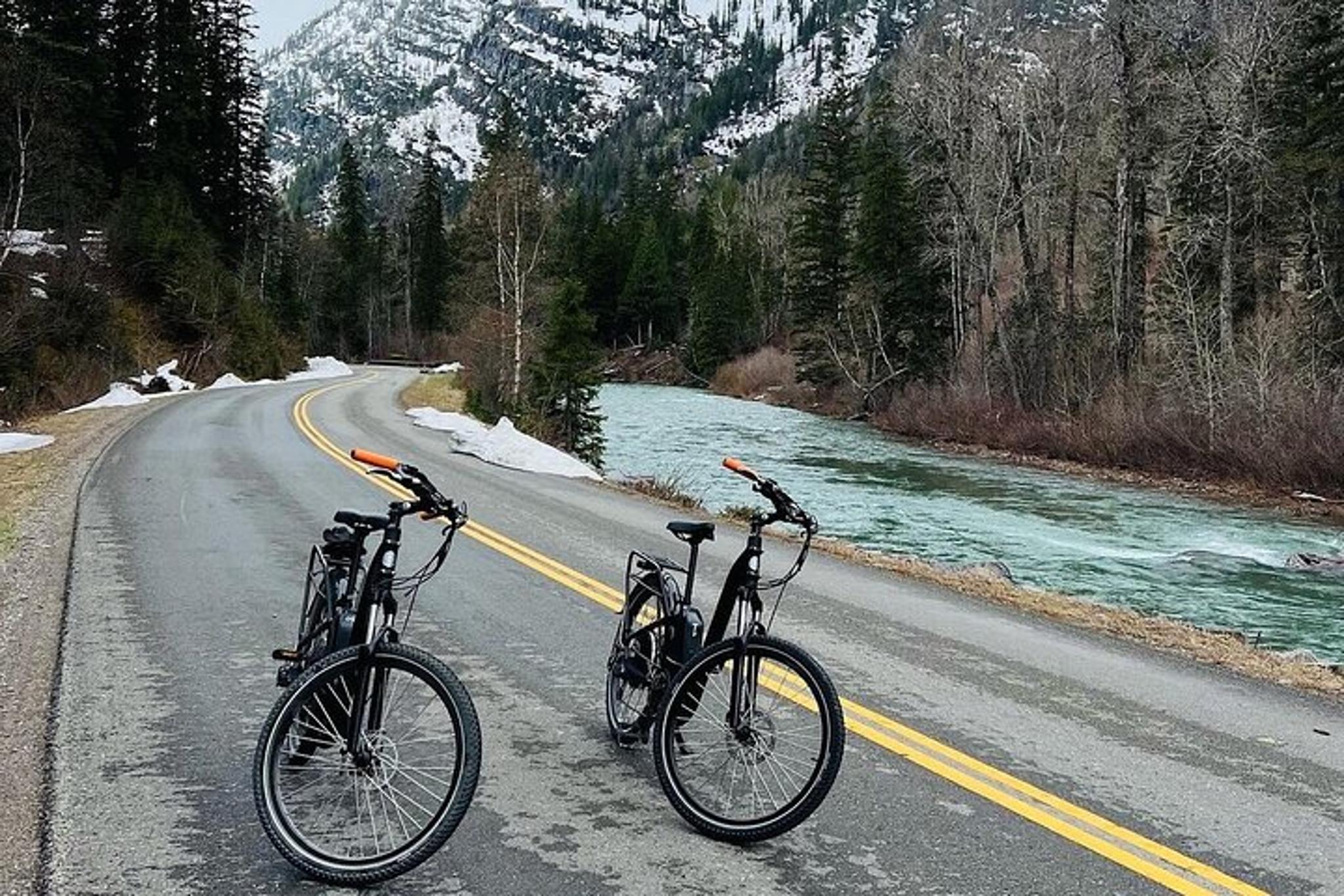 Whitefish E-Bike Shuttle to Going-to-the-Sun Road - Image 4