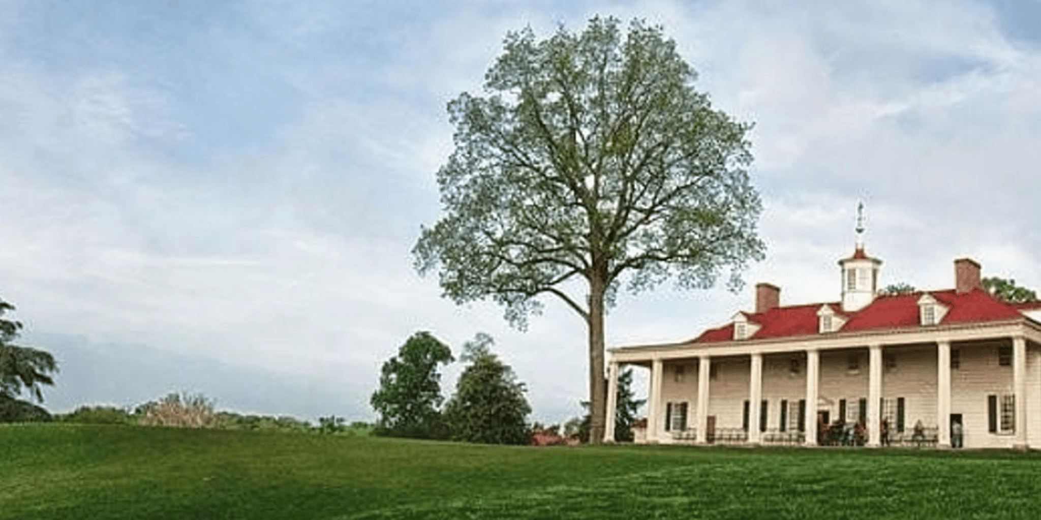 Washington DC Mount Vernon & Old Town Alexandria Tour - Image 6