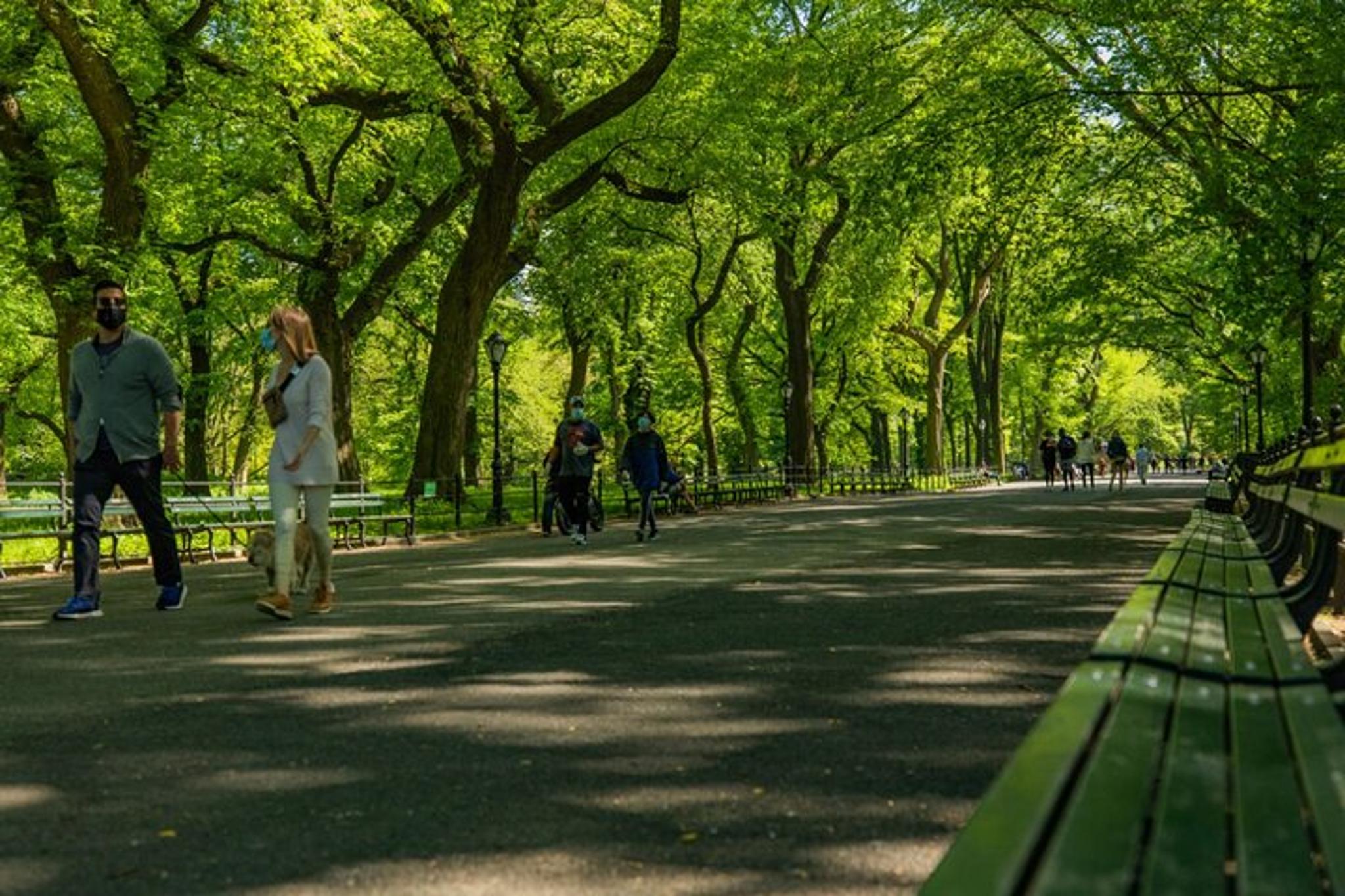 New York City Central Park Pedicab Tour - Image 5