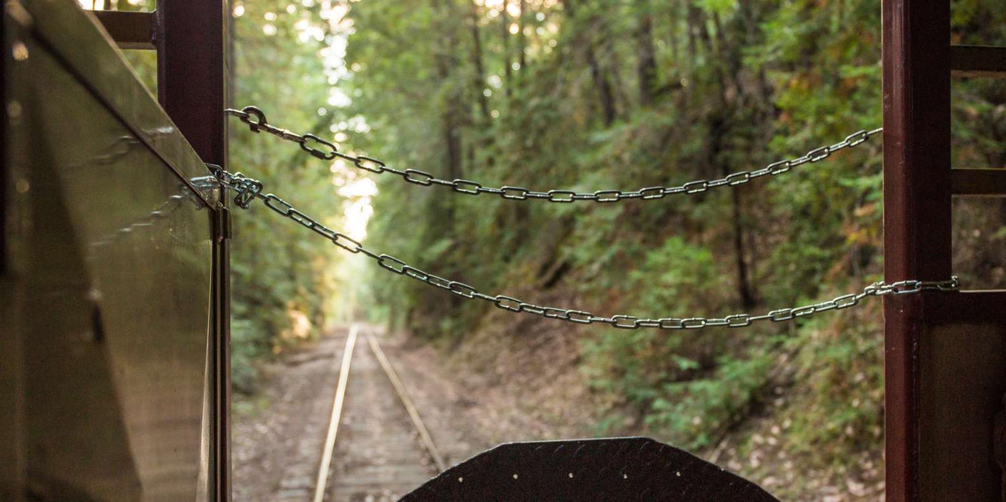Willits Skunk Train Wolf Tree Turn 2 hr - Image 4