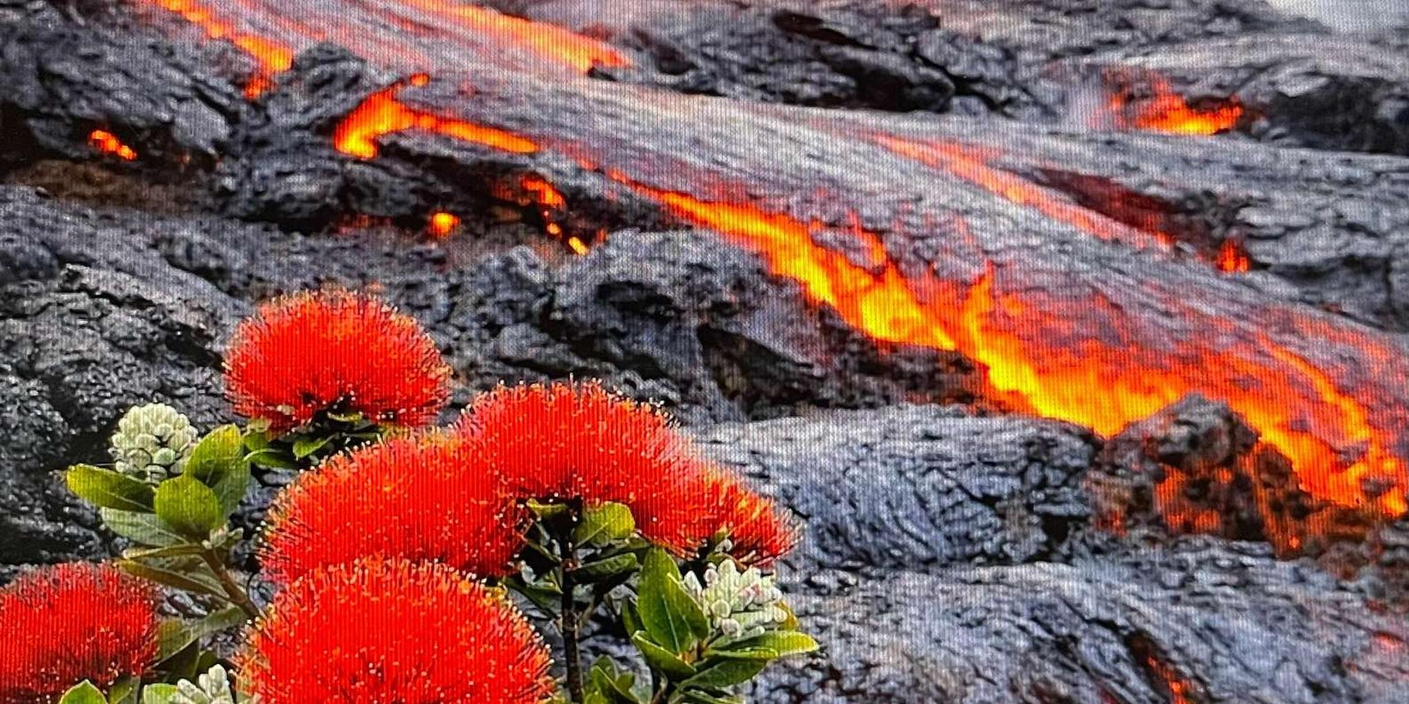 Hilo Volcano, Waterfalls and Beach Tour with Lunch 7 hr