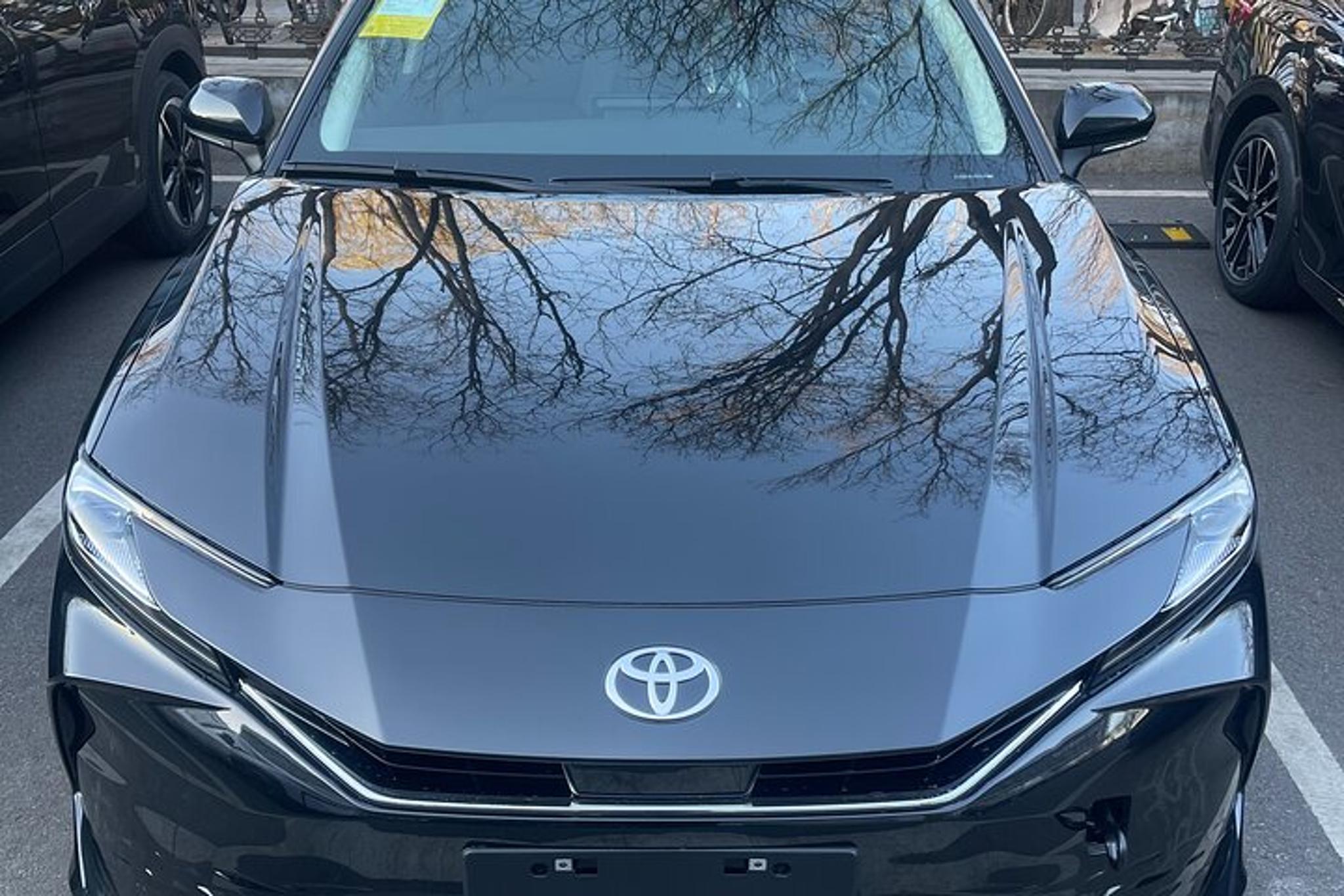 Seattle Airport Private Transfer - Image 1