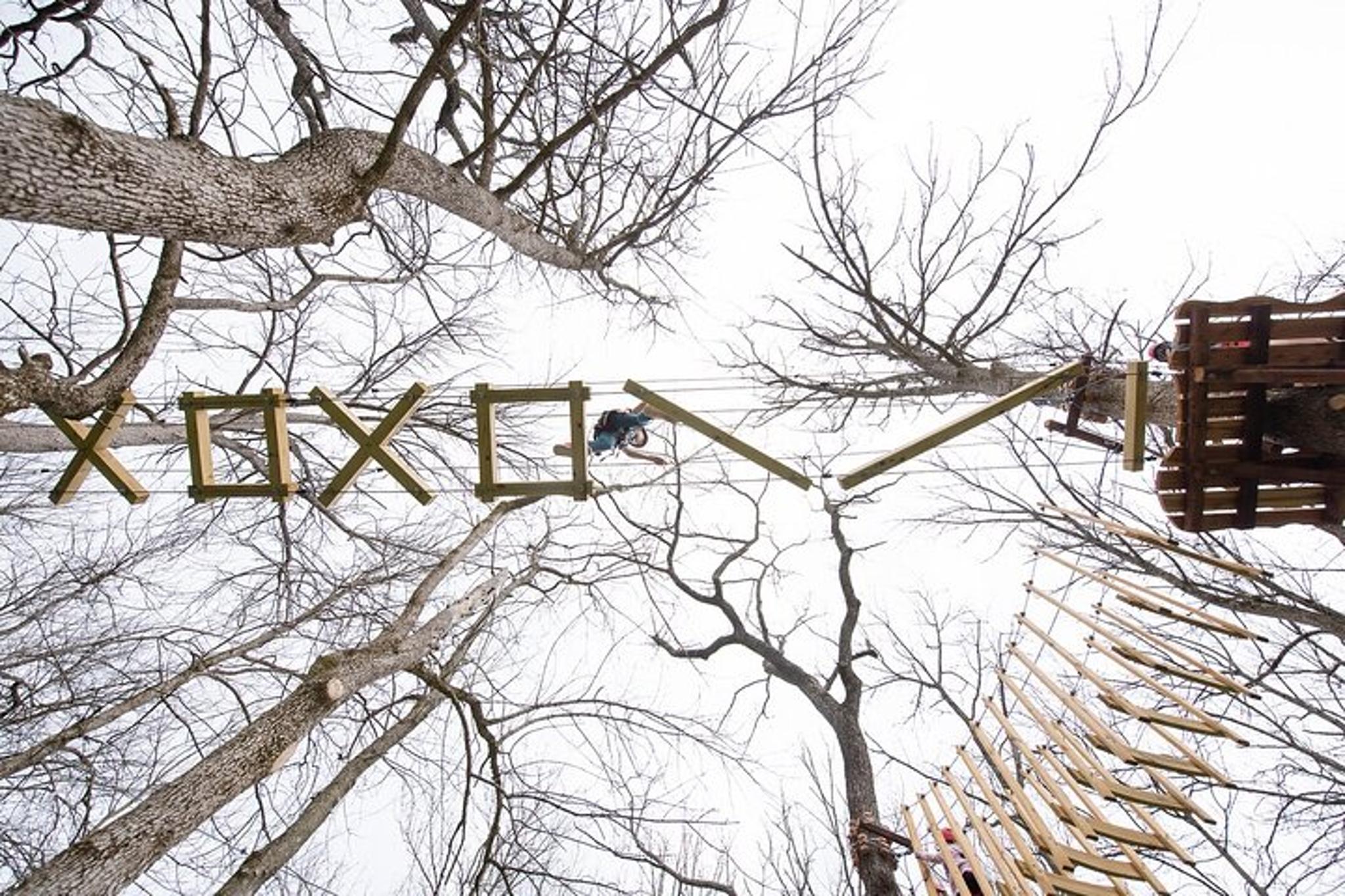 Lexington Aerial Adventure in the Trees 2 hr - Image 5