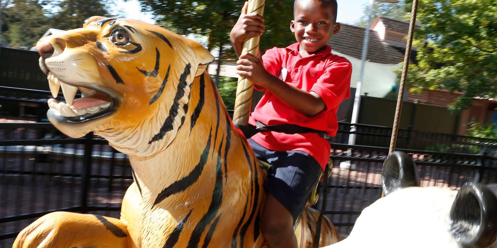 New Orleans Audubon Zoo Ticket - Image 5