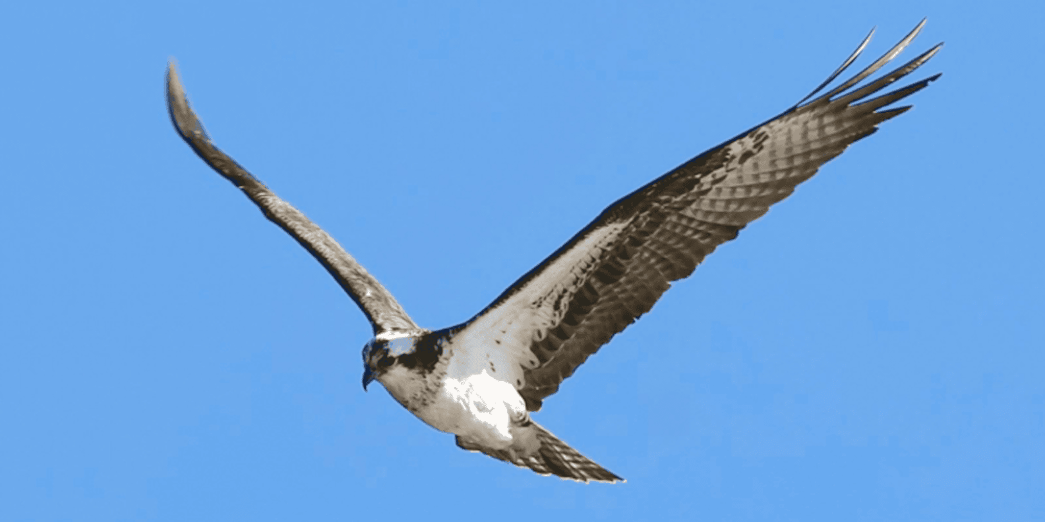Estes Park Bear Lake Corridor Photography Tour 3 hr - Image 3