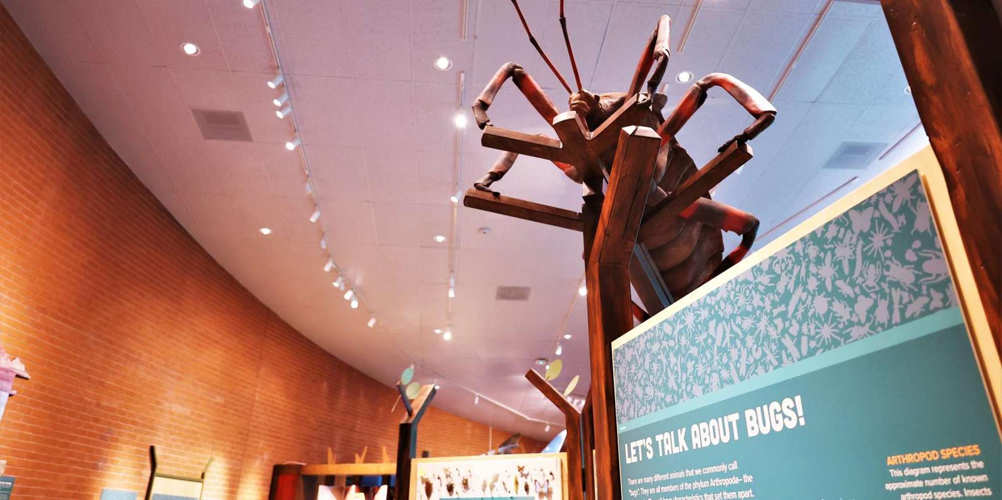 Tucson Science Center Entry Ticket - Image 5