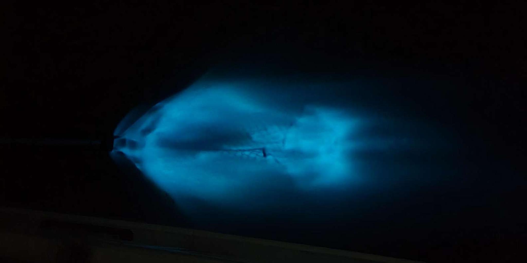 Cocoa Beach Bioluminescence Boat Tour 2 hr - Image 2