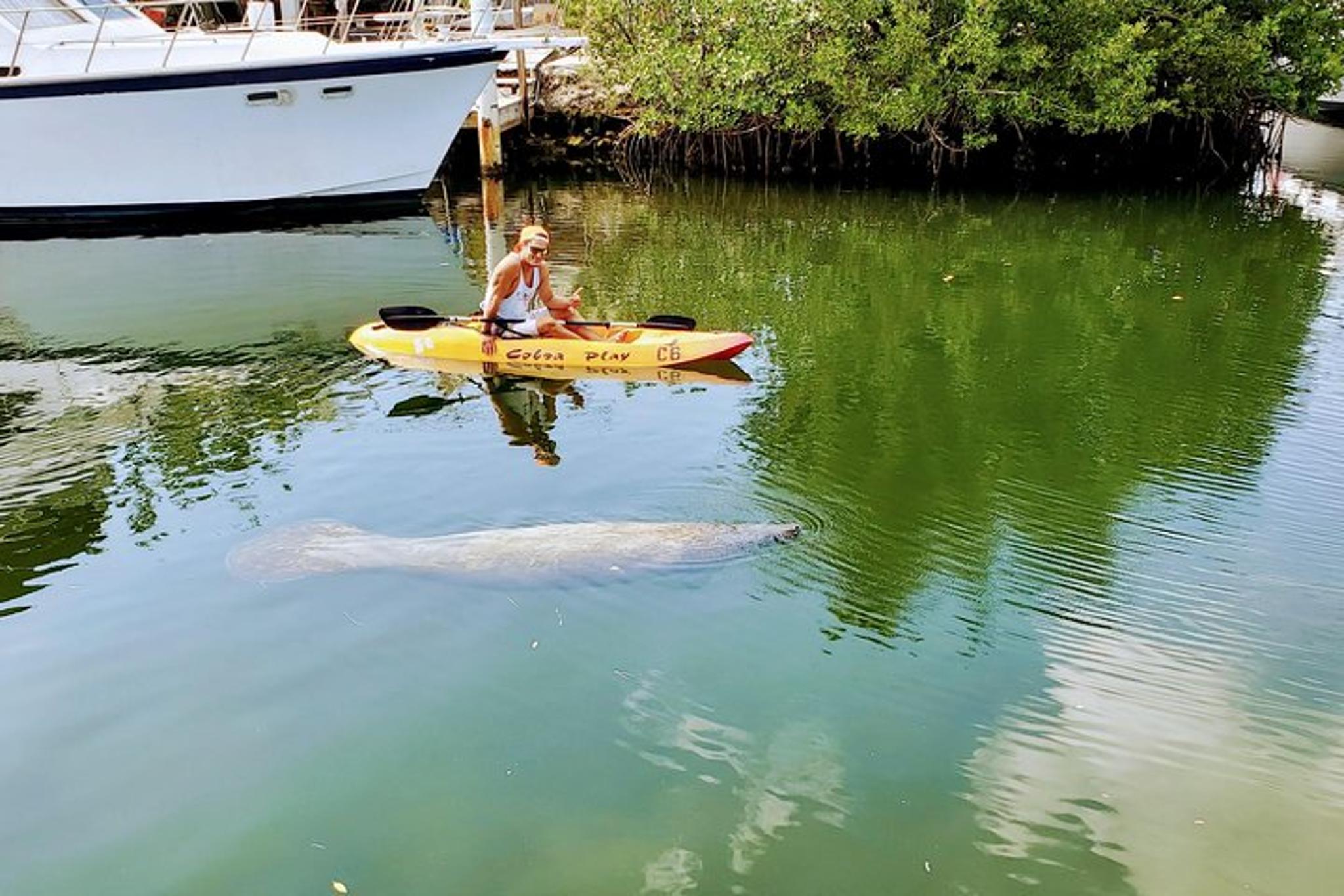 Key Largo Mangrove Kayak Eco Tour - Image 4