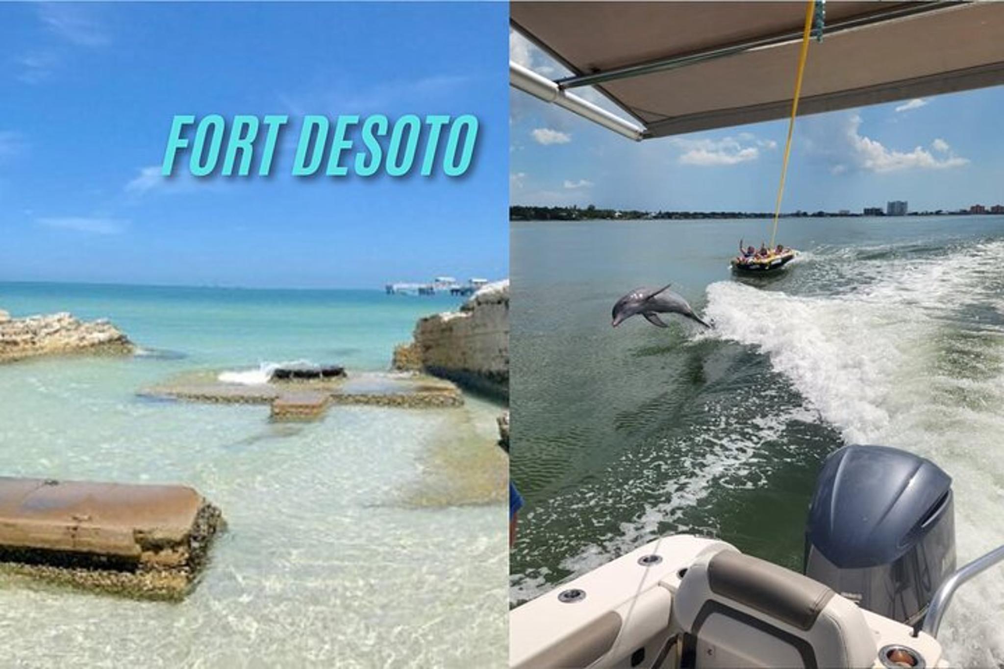 Tampa Island Cruise and Dolphin Tour - Image 2