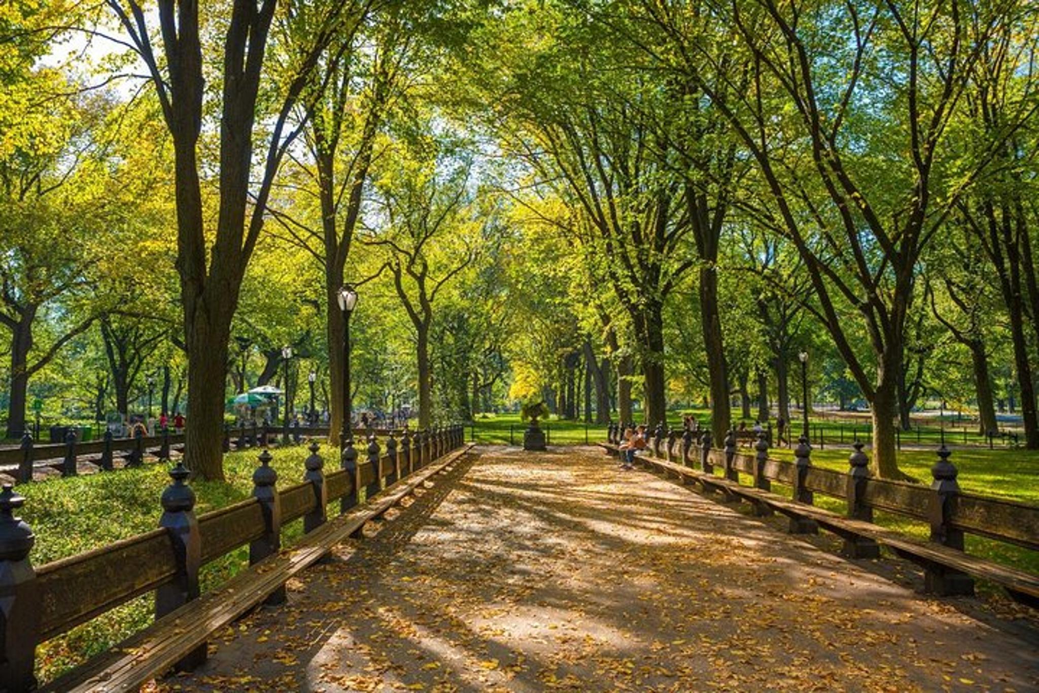 New York City Carriage Ride 55 Min - Image 6