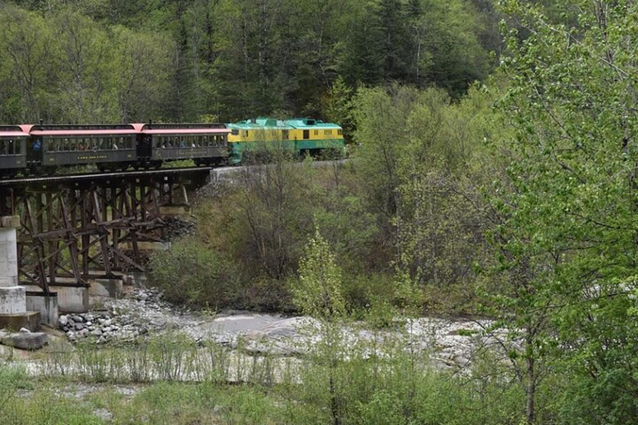 Skagway City Tour and White Pass Summit Adventure - Image 5