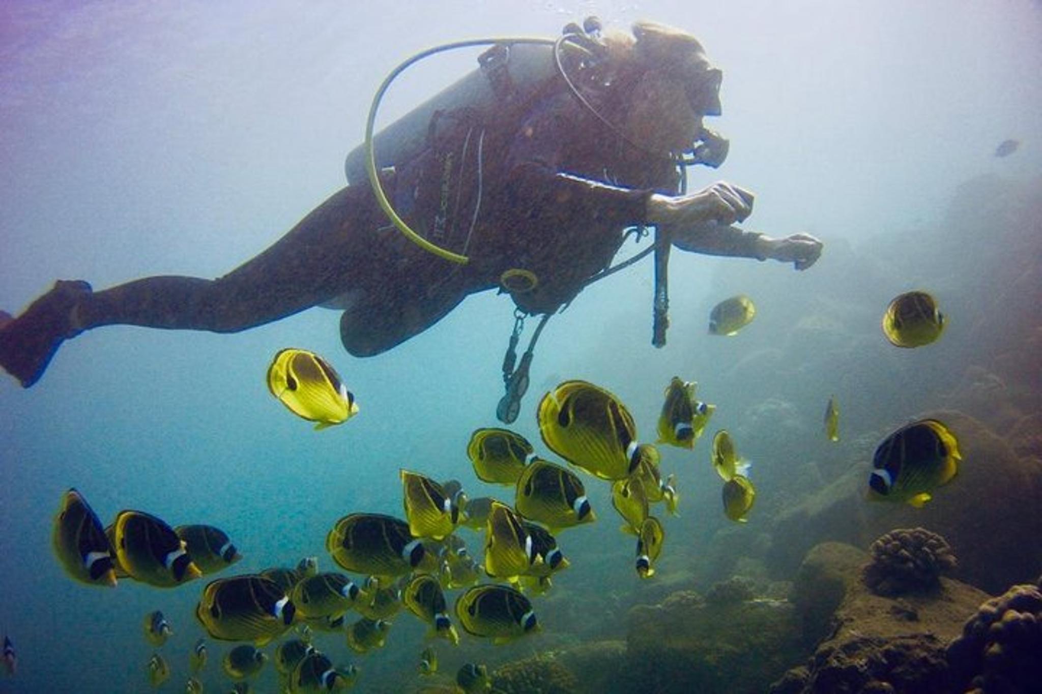 Kauai South Shore Scuba Dive 4 hr - Image 6