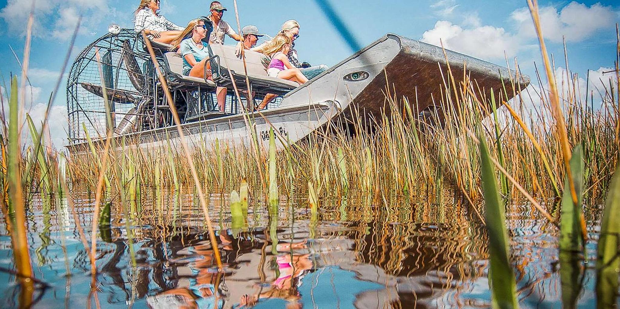 Miami Everglades Airboat Tour & Wildlife Show