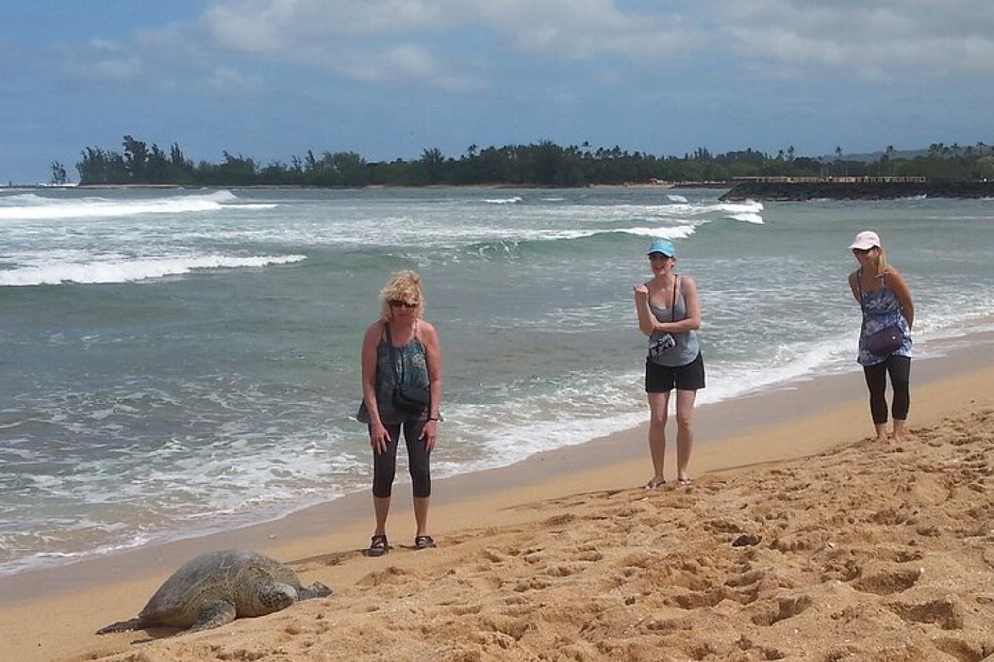 Oahu Convertible Tour of South and North Shores - Image 5
