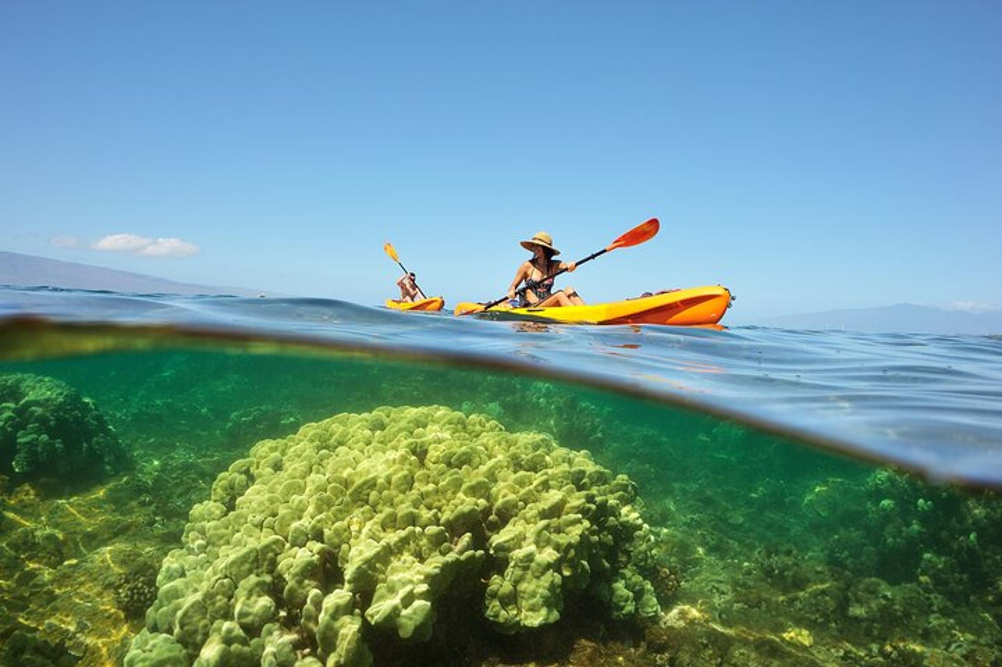 Maui Kayak and Snorkel Tour West Shore 2.5 Hr - Image 2