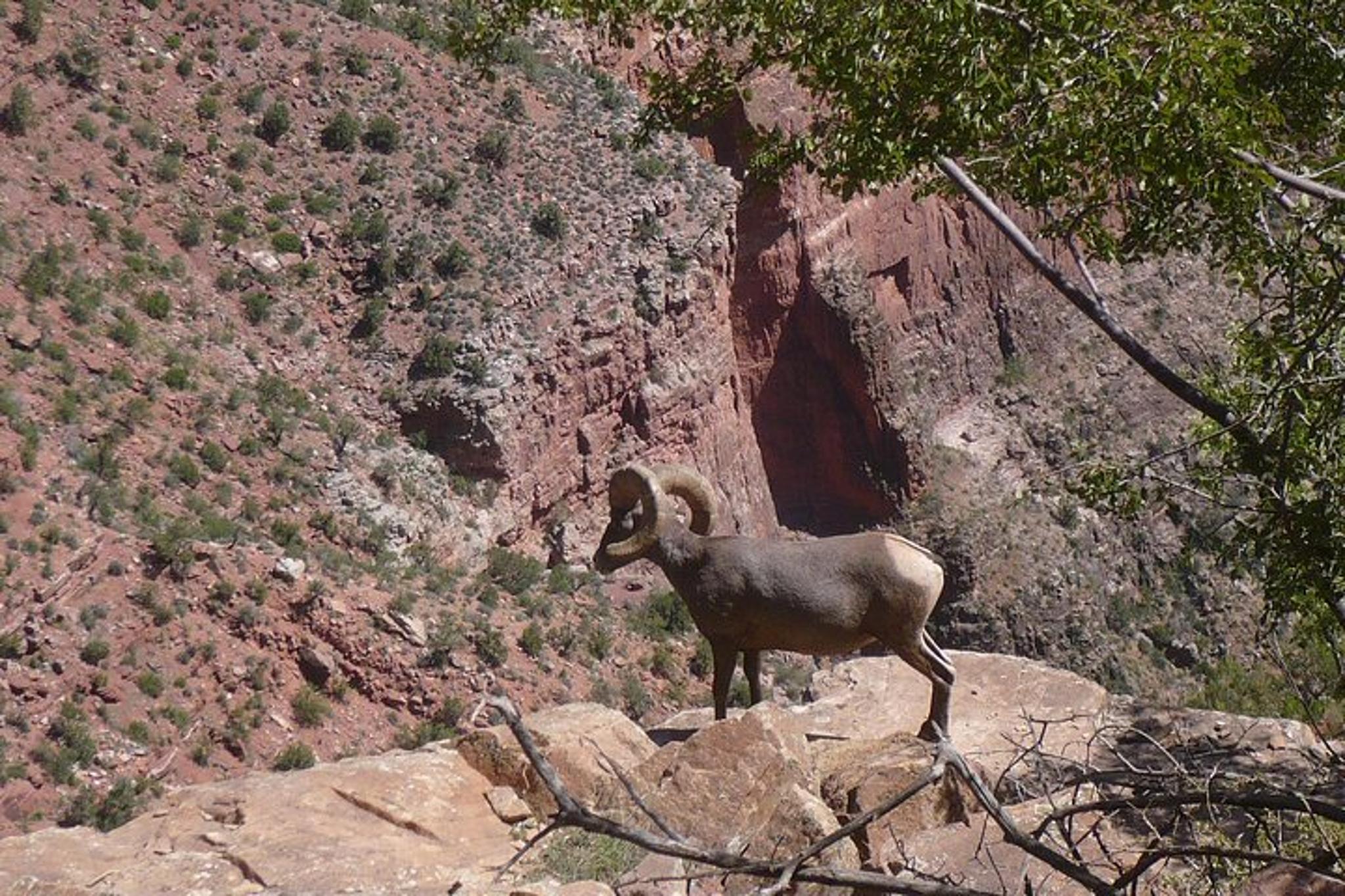 Phoenix Grand Canyon Day Tour - Image 5