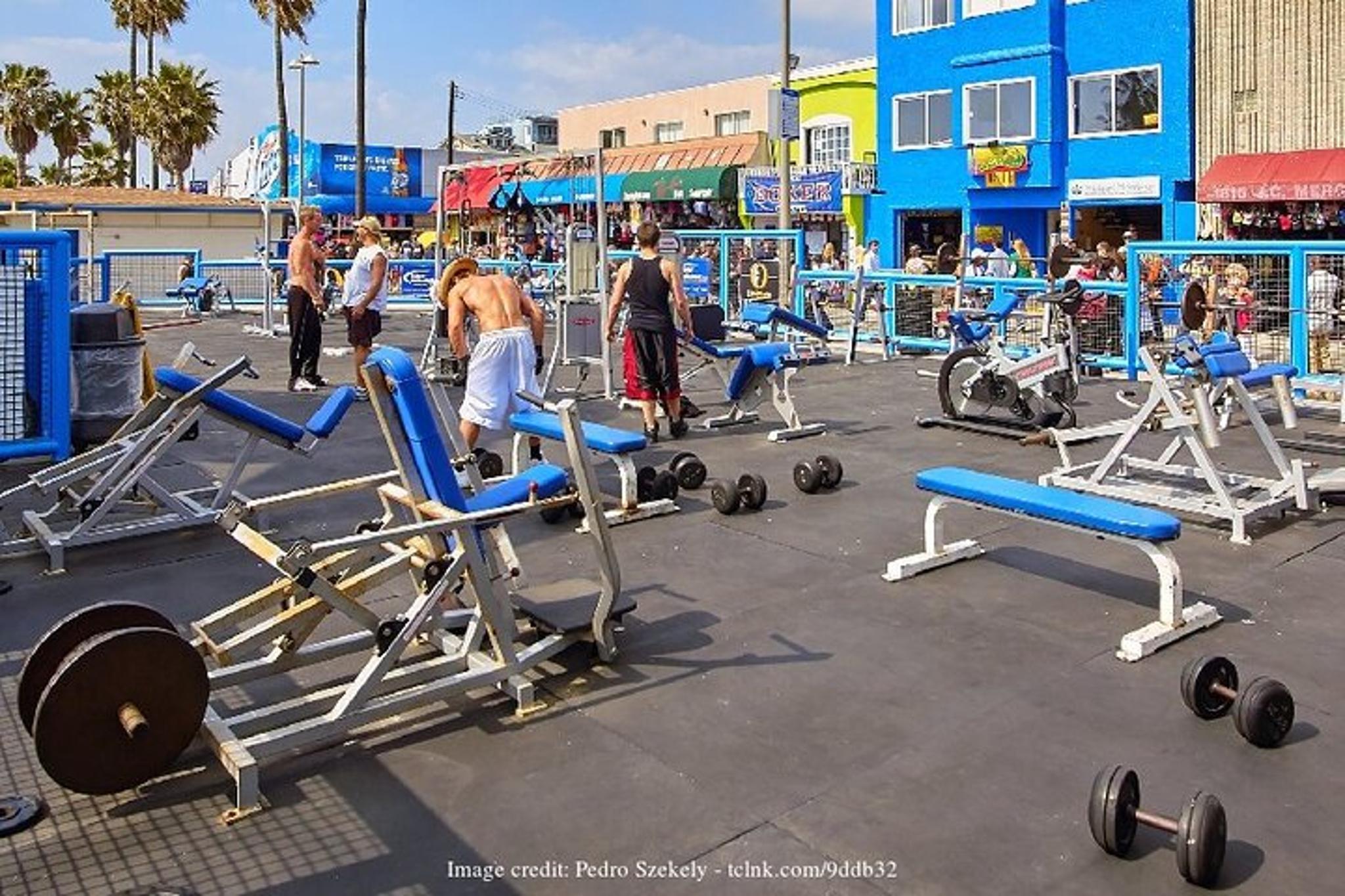 Venice Beach Walking Tour - Image 4