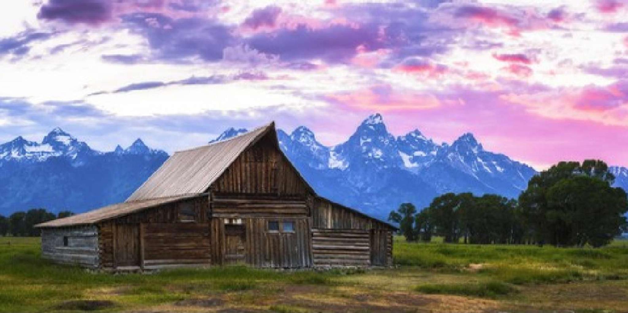 Jackson Grand Teton Wildlife and Scenery Tour with Lunch - Image 2