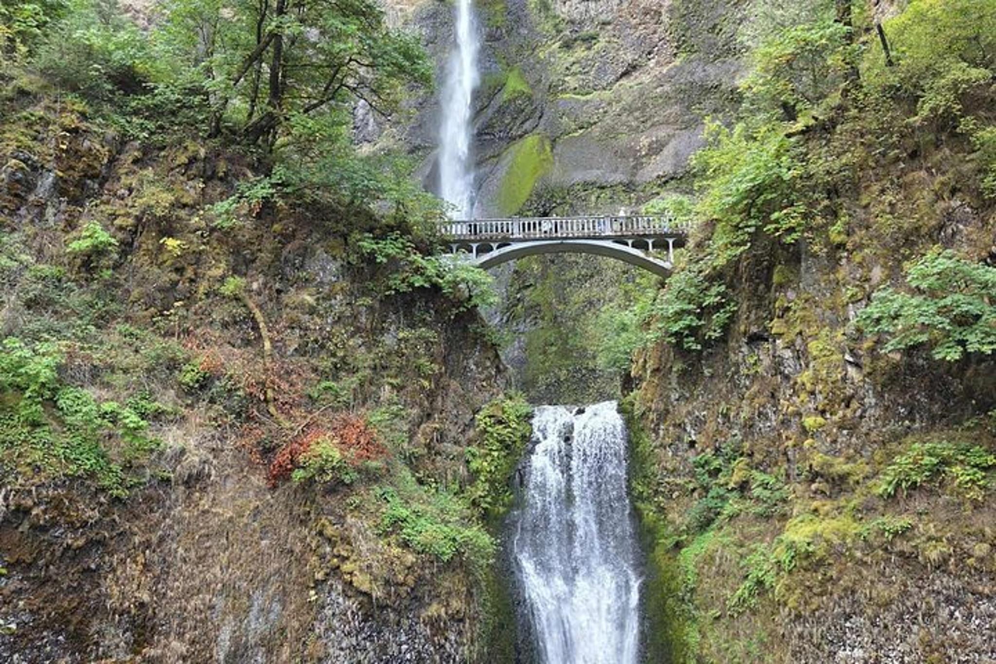 Portland Columbia River Gorge Tour - Image 3