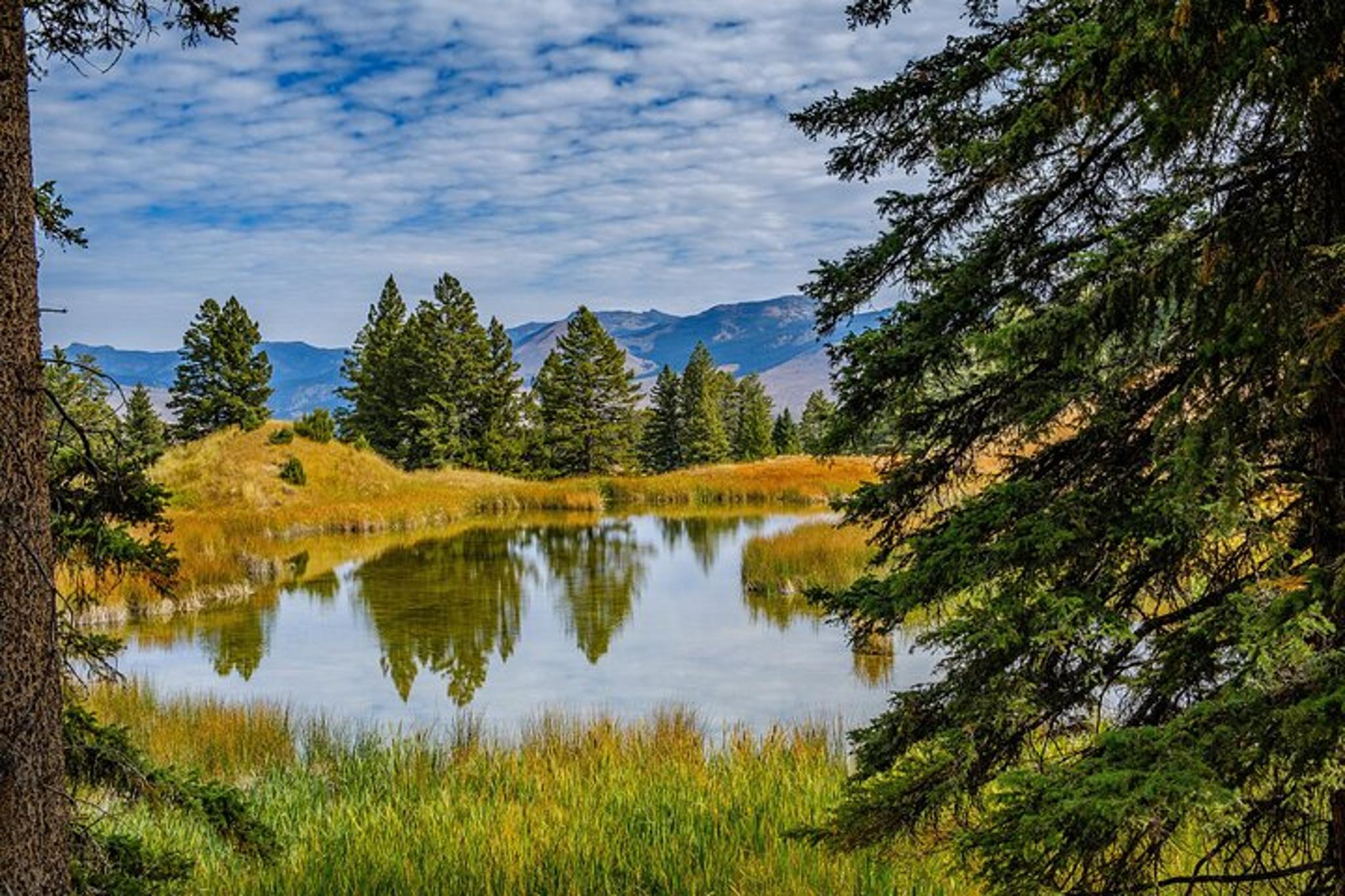 Jackson Yellowstone Private Tour & Hike