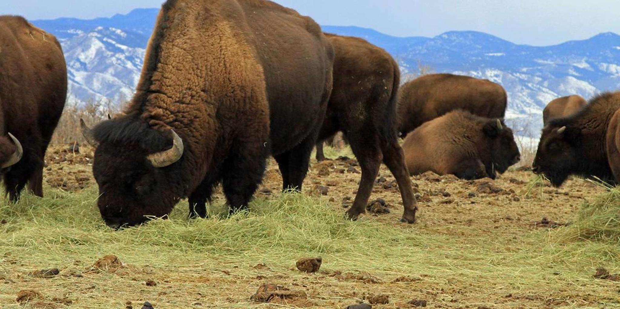 Denver Mountain Tour with Sunset Views