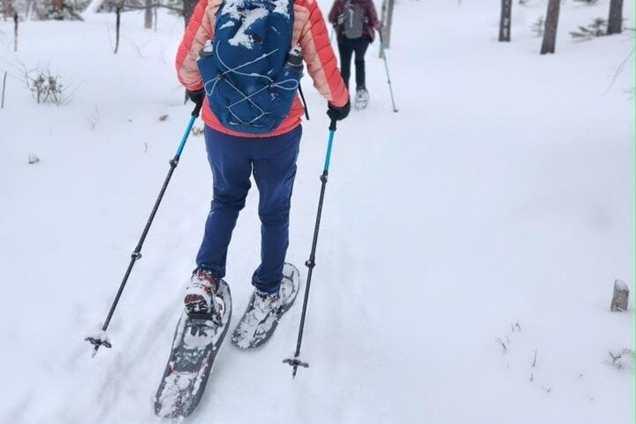 Rocky Mountain National Park Snowshoeing for Beginners - Image 2