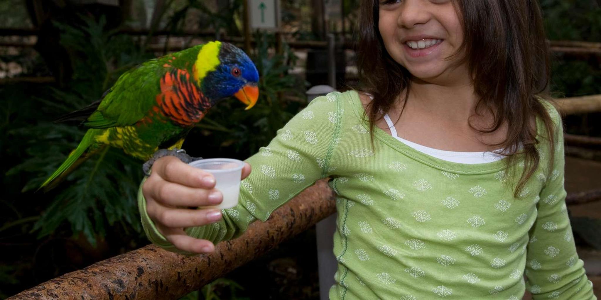 San Diego Zoo and Safari Park 2-Day Ticket - Image 4