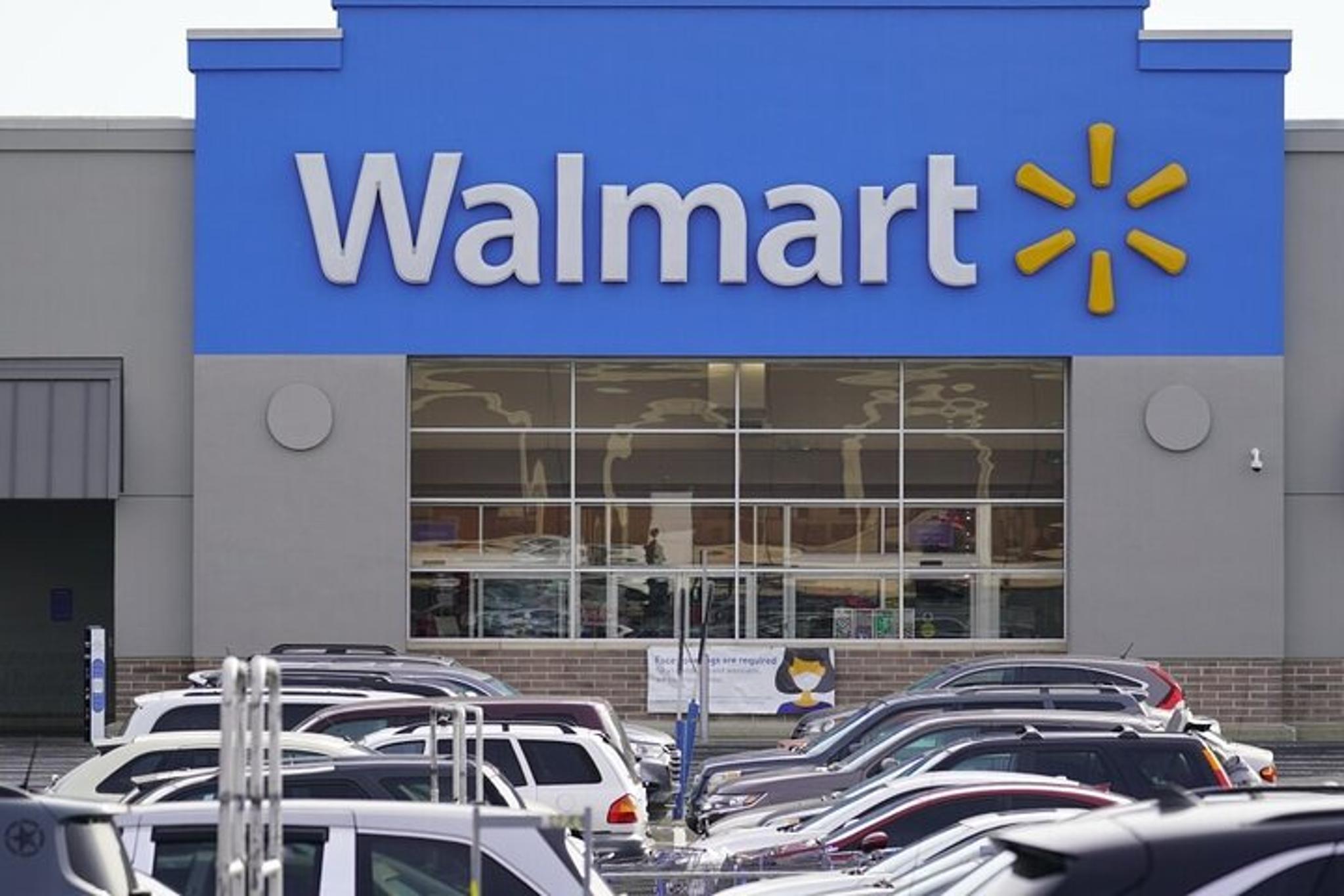 Phoenix Offroad Sonoran Desert Sunset Tour - Image 5