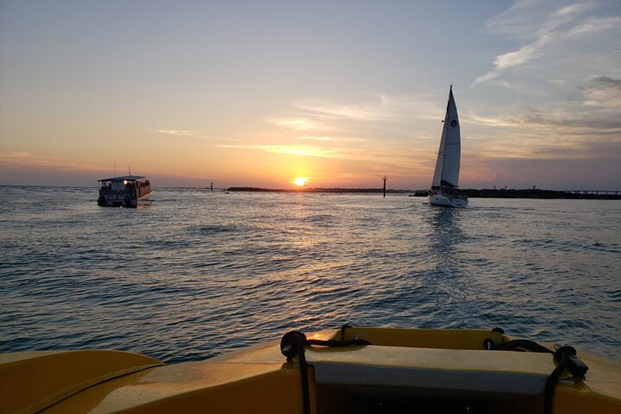 Destin Dolphin Sightseeing Boat Tour - Image 6