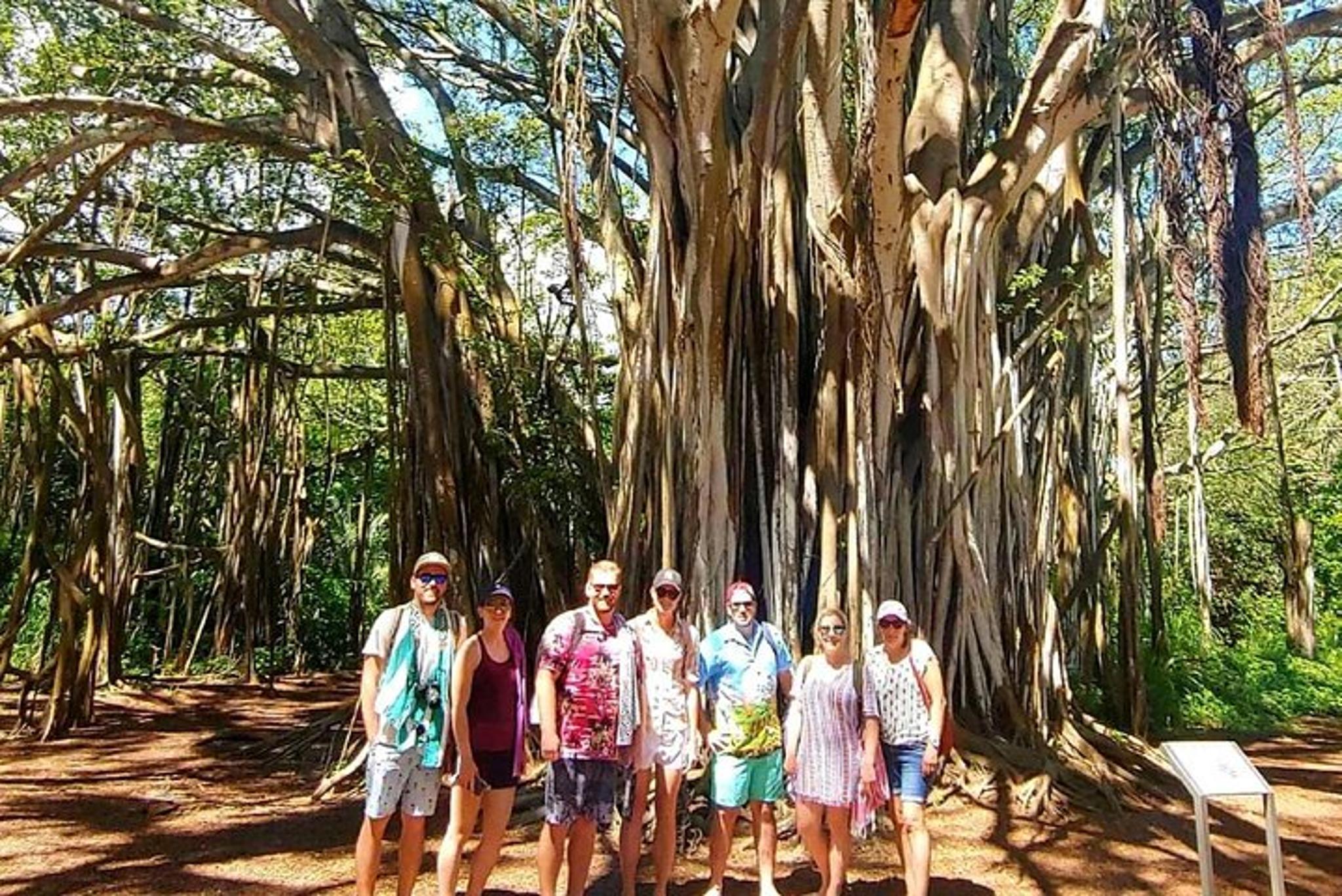 Oahu Circle Island Private Tour - Image 6