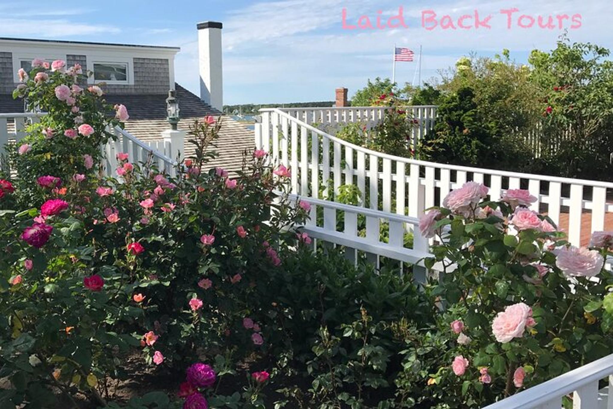 Marthas Vineyard Sightseeing Tour - Image 5