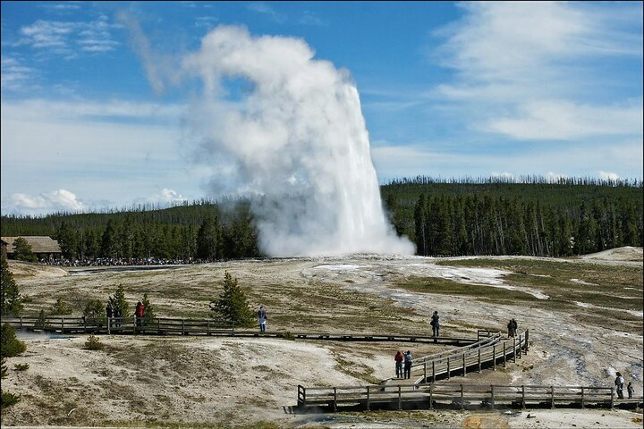 Yellowstone Private Tour with Surprise Activity - Image 4