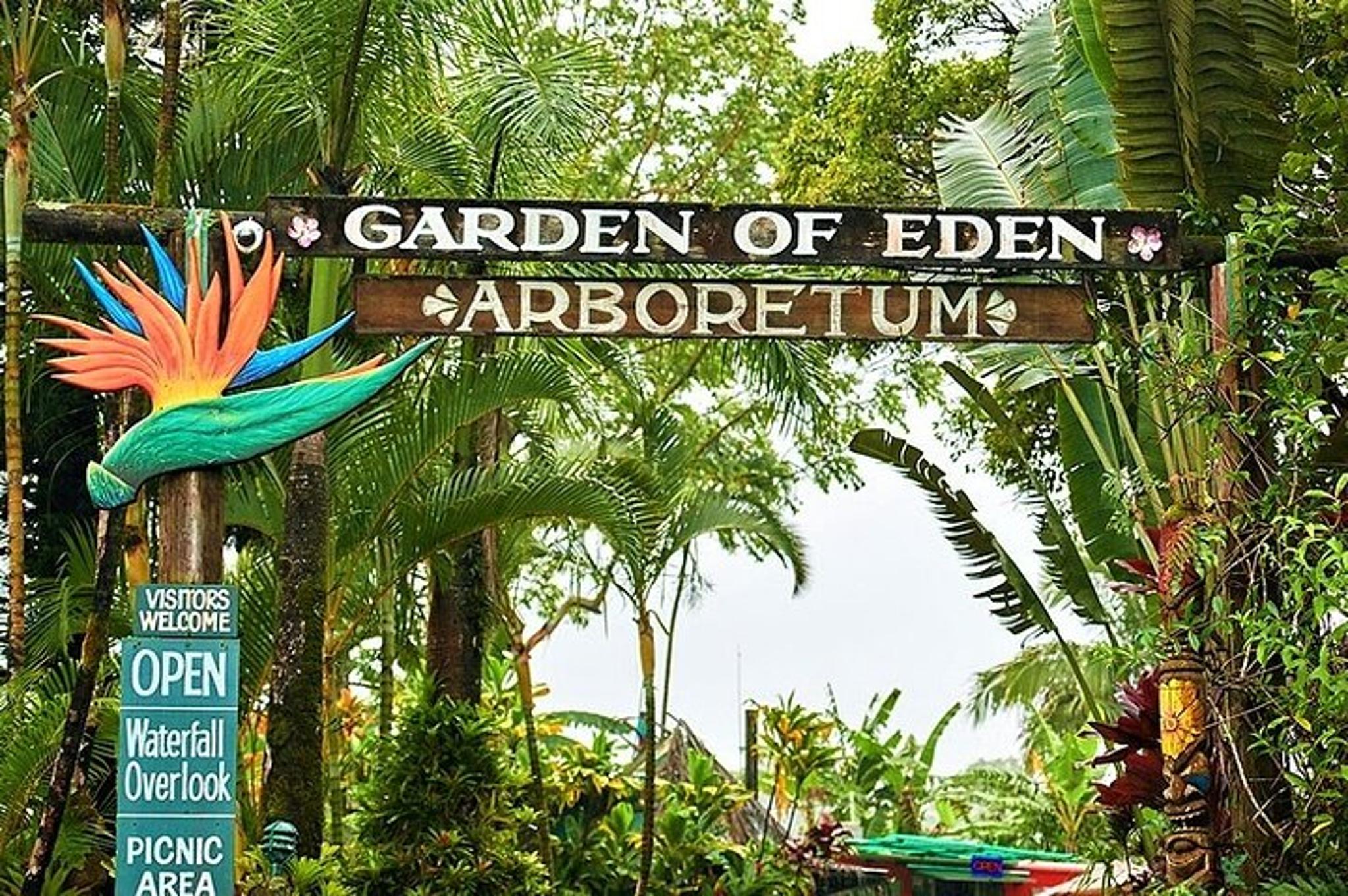 Maui Tropical Rainforest Small Group Tour - Image 4