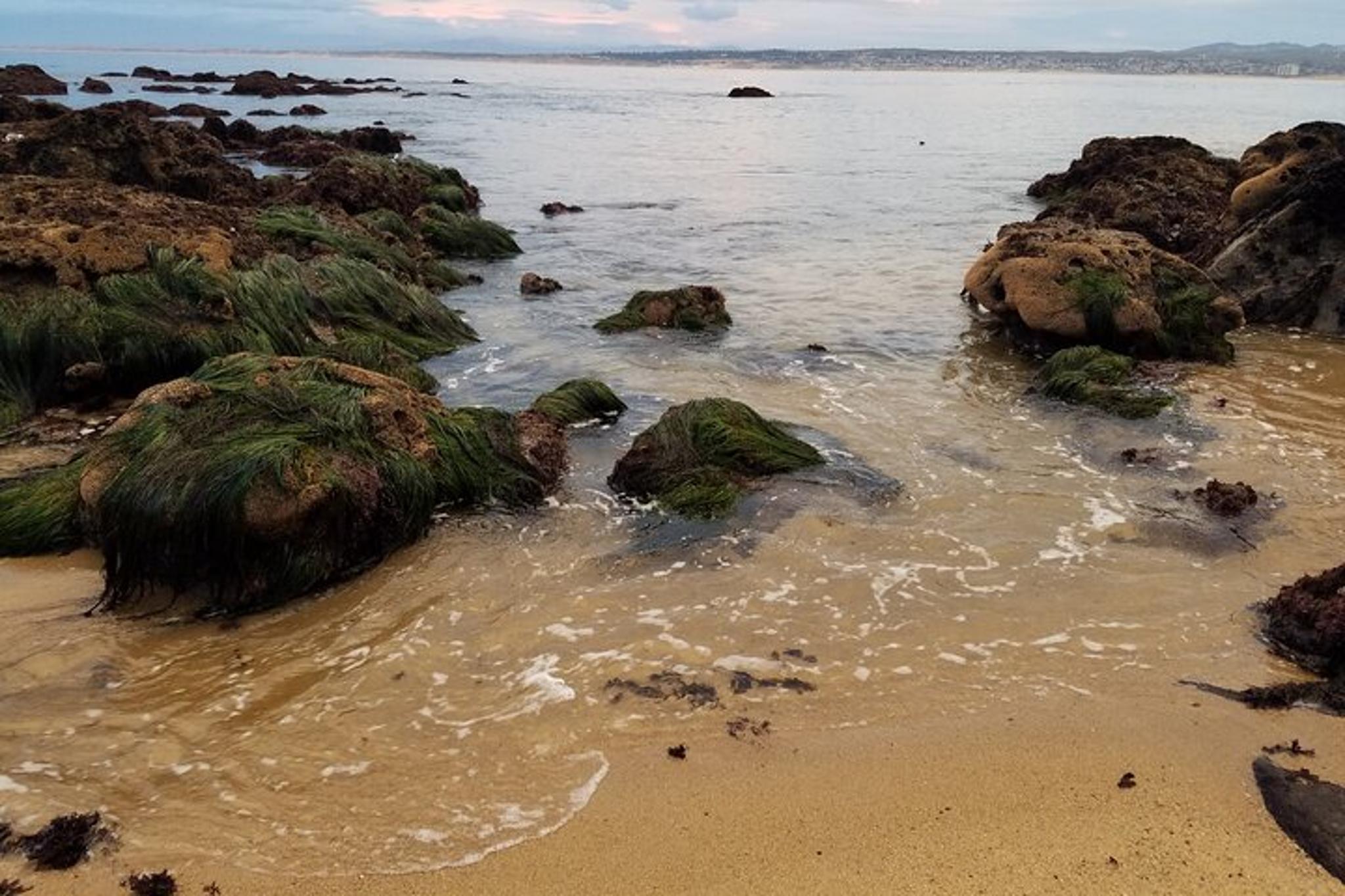 Monterey & Carmel Sightseeing Private Tour - Image 6