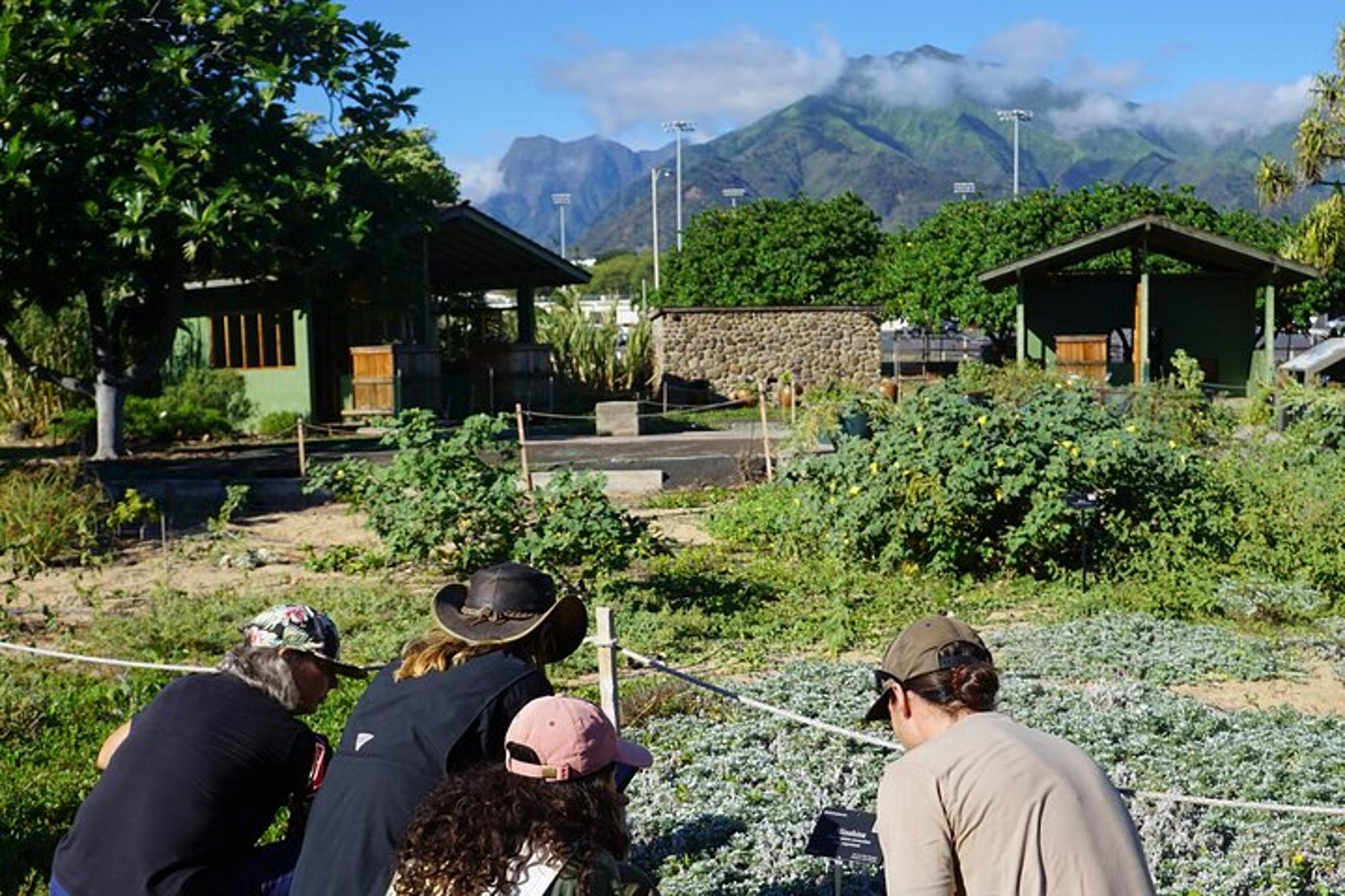 Maui Botanical Garden Experience - Image 6