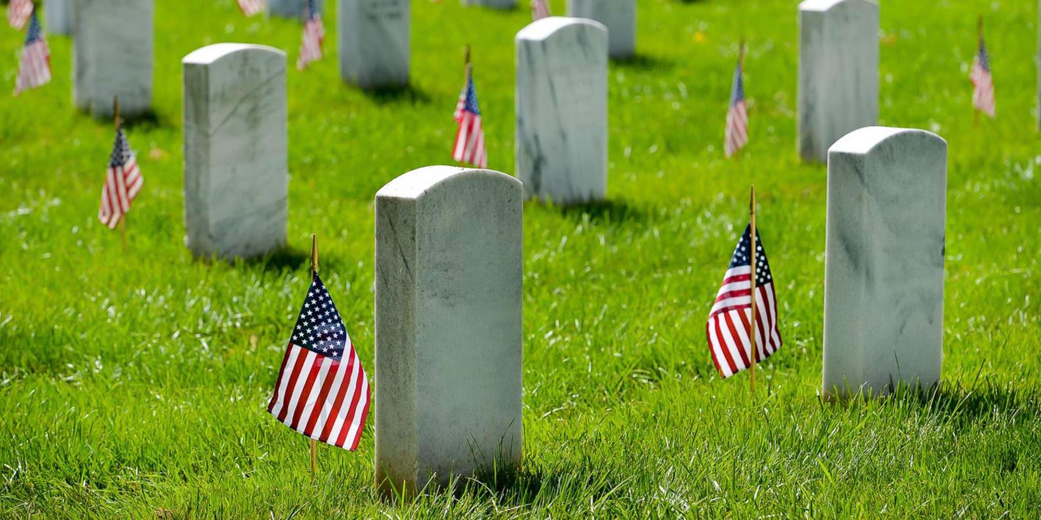 Arlington Cemetery Walking Tour with Changing of the Guard - Image 2