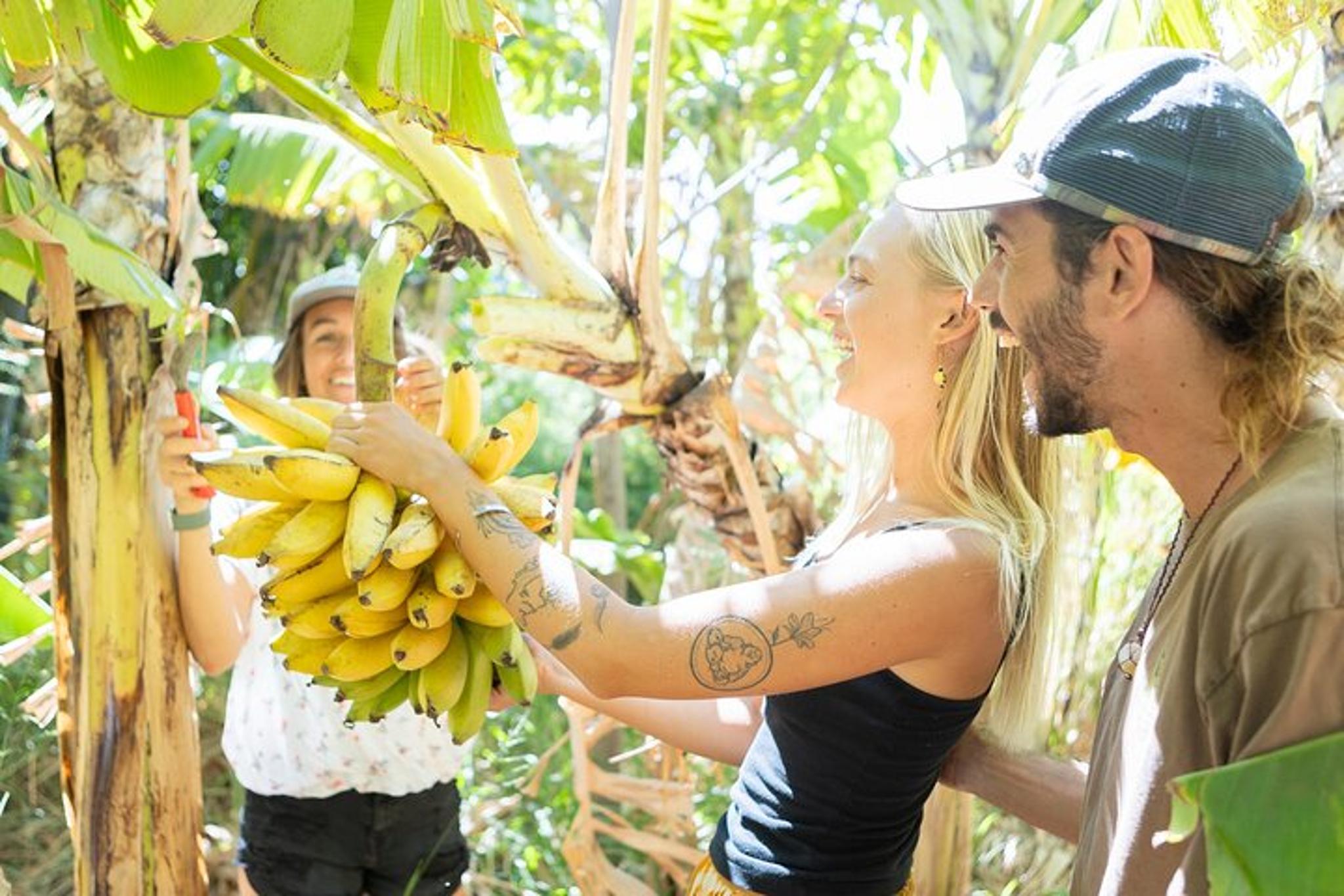 Maui Farm to Table Cooking Class - Image 1