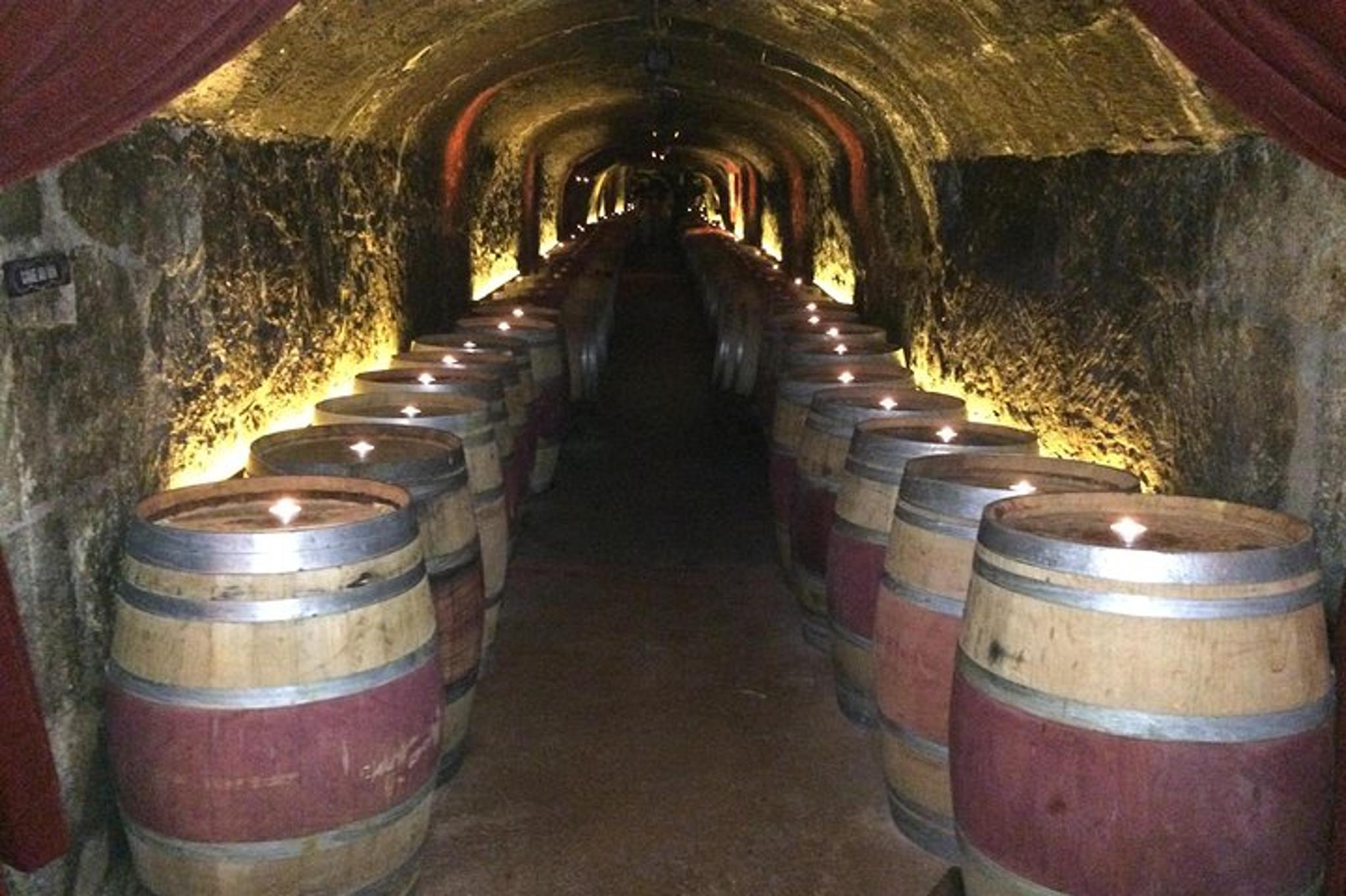 Napa Wine Country Tour in Crossover SUV - Image 4