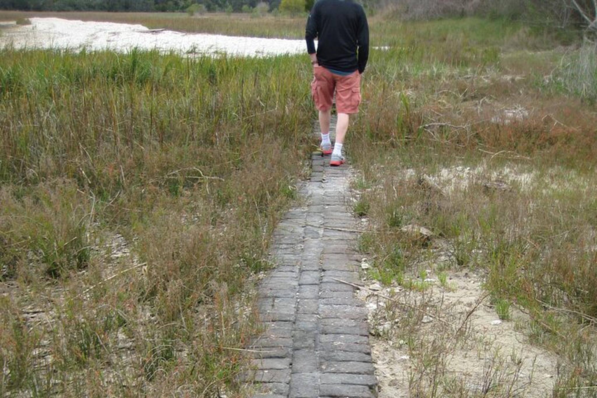 Amelia Island Road Tour - Image 6