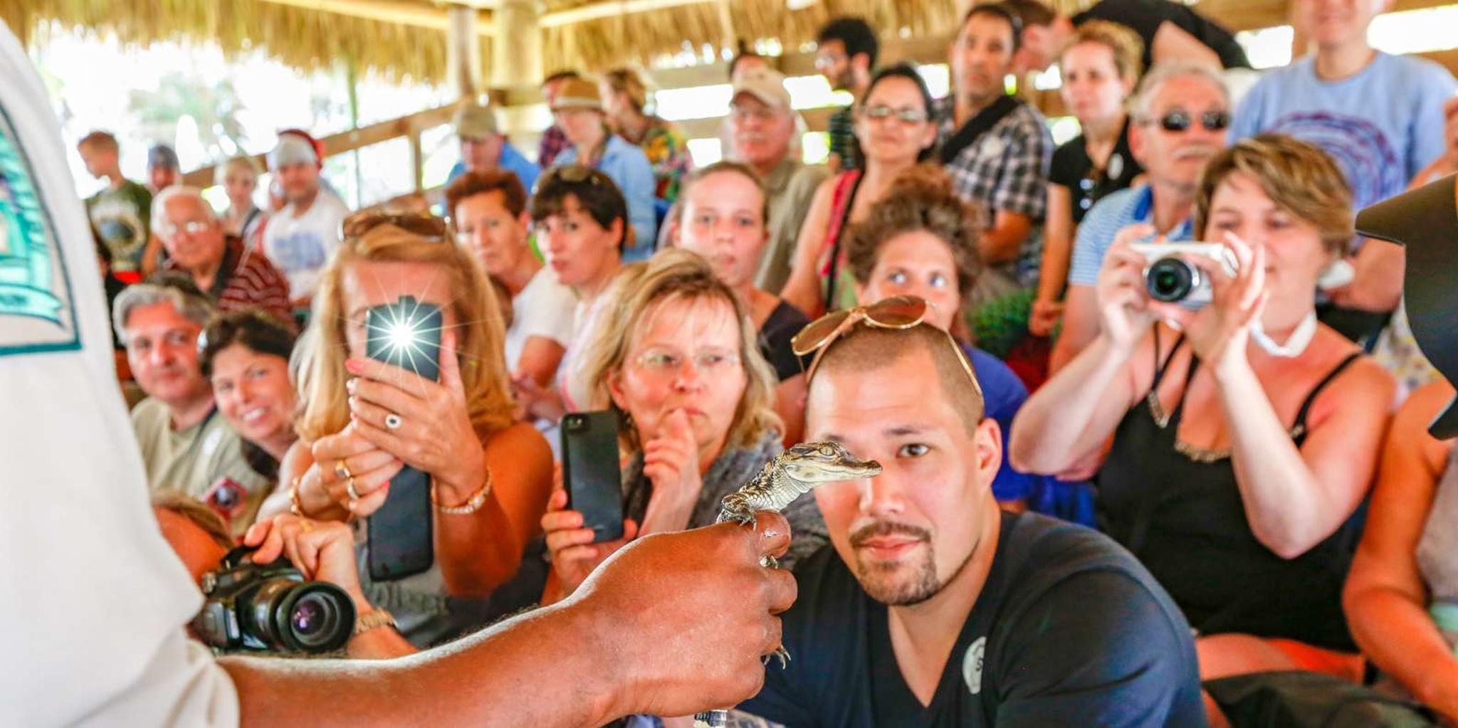 Miami Everglades Park, Bus & Yacht Tour - Image 6